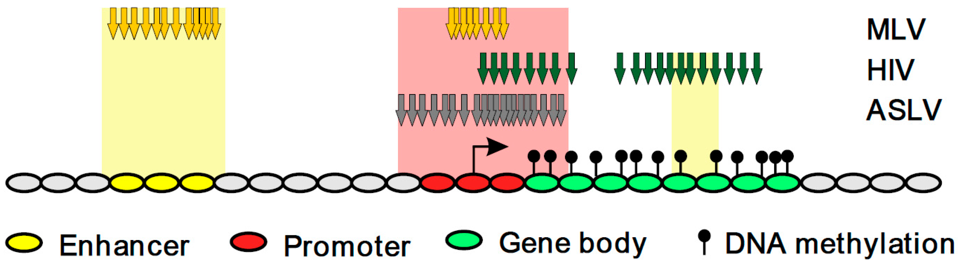 Viruses 10 00116 g007
