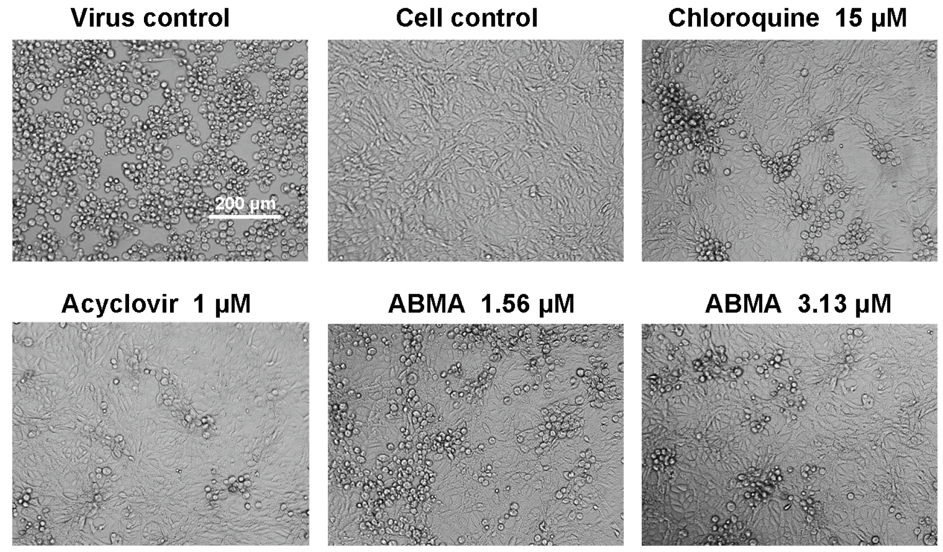 Viruses 10 00119 g003 Viruses 10 00119 g003