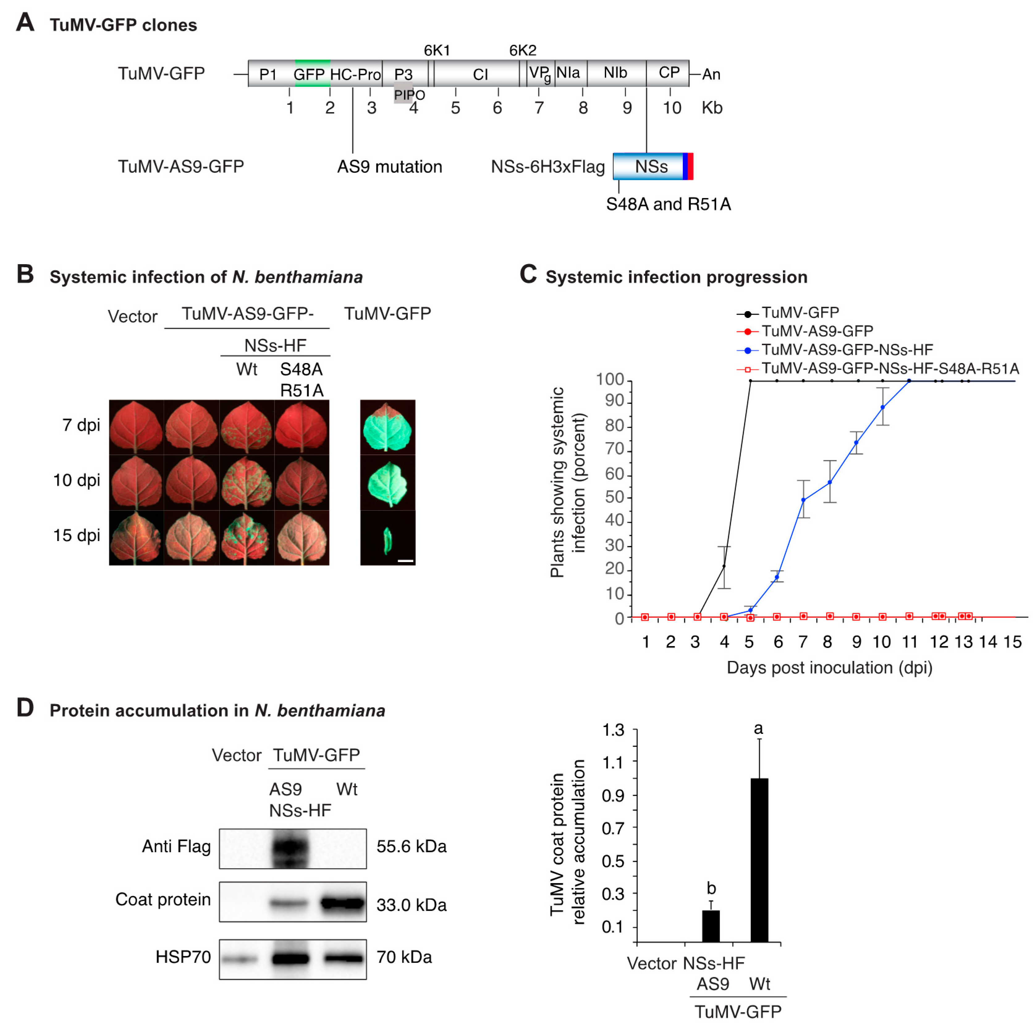 Viruses 10 00129 g002 Viruses 10 00129 g002