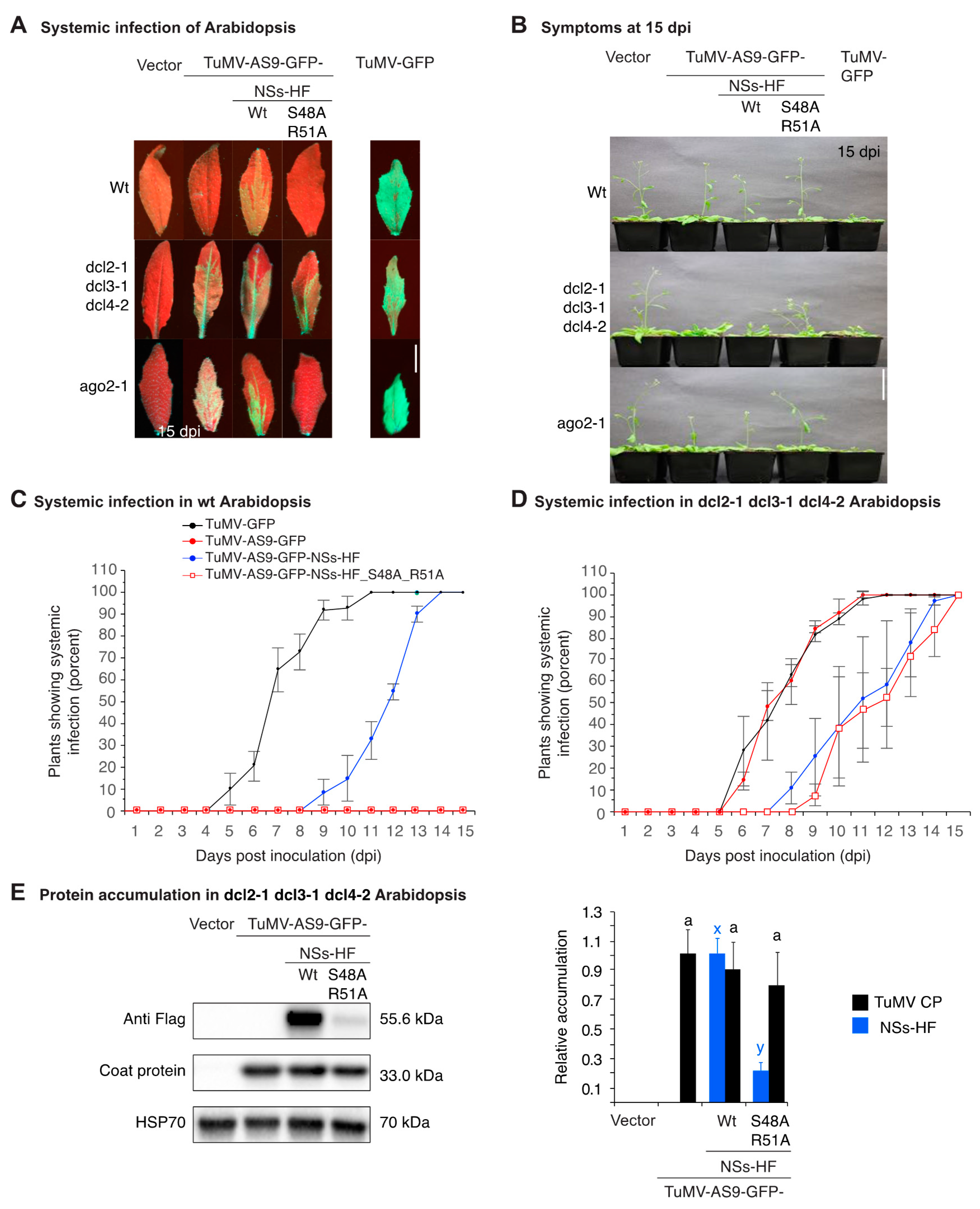 Viruses 10 00129 g003 Viruses 10 00129 g003