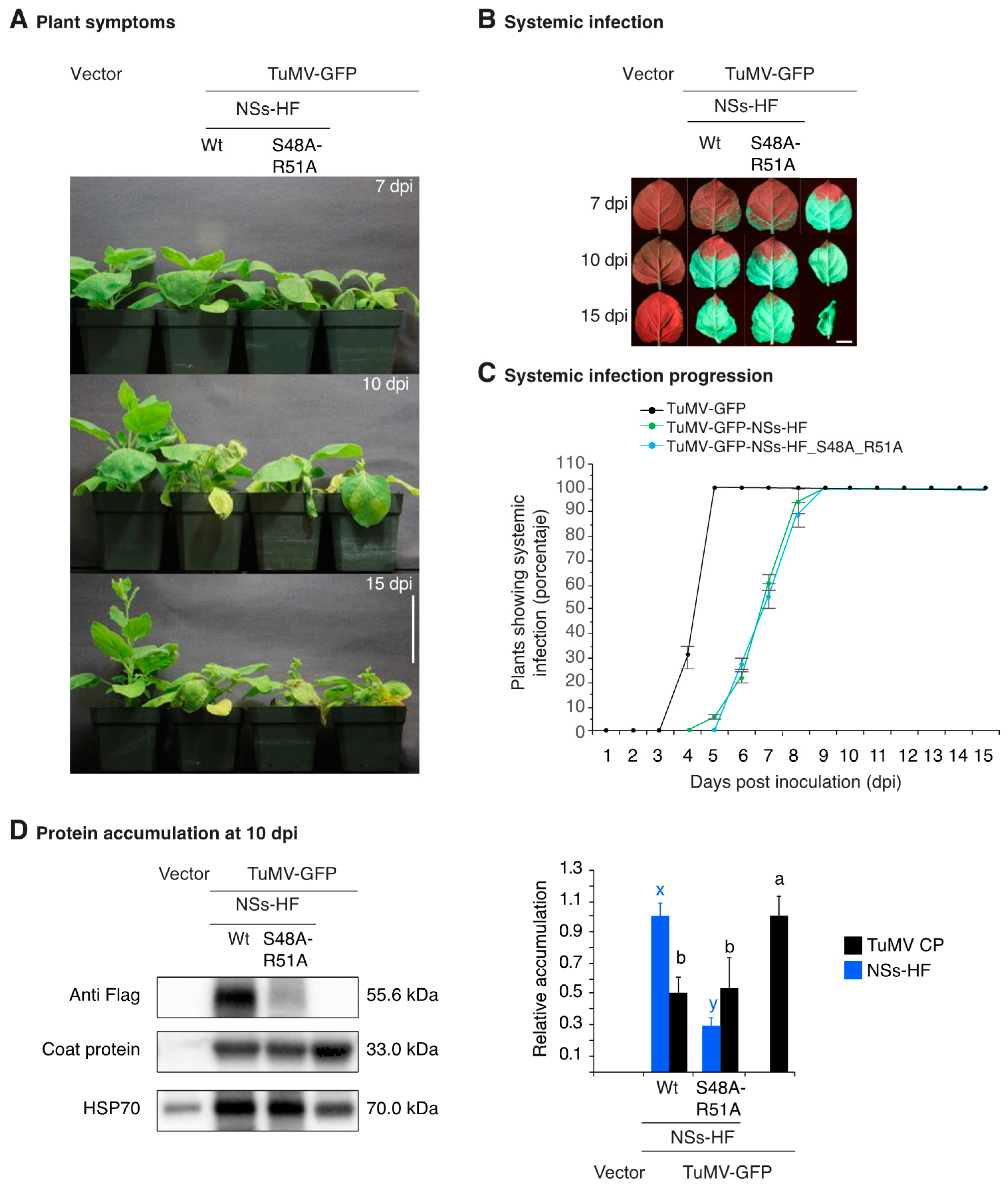Viruses 10 00129 g005 Viruses 10 00129 g005