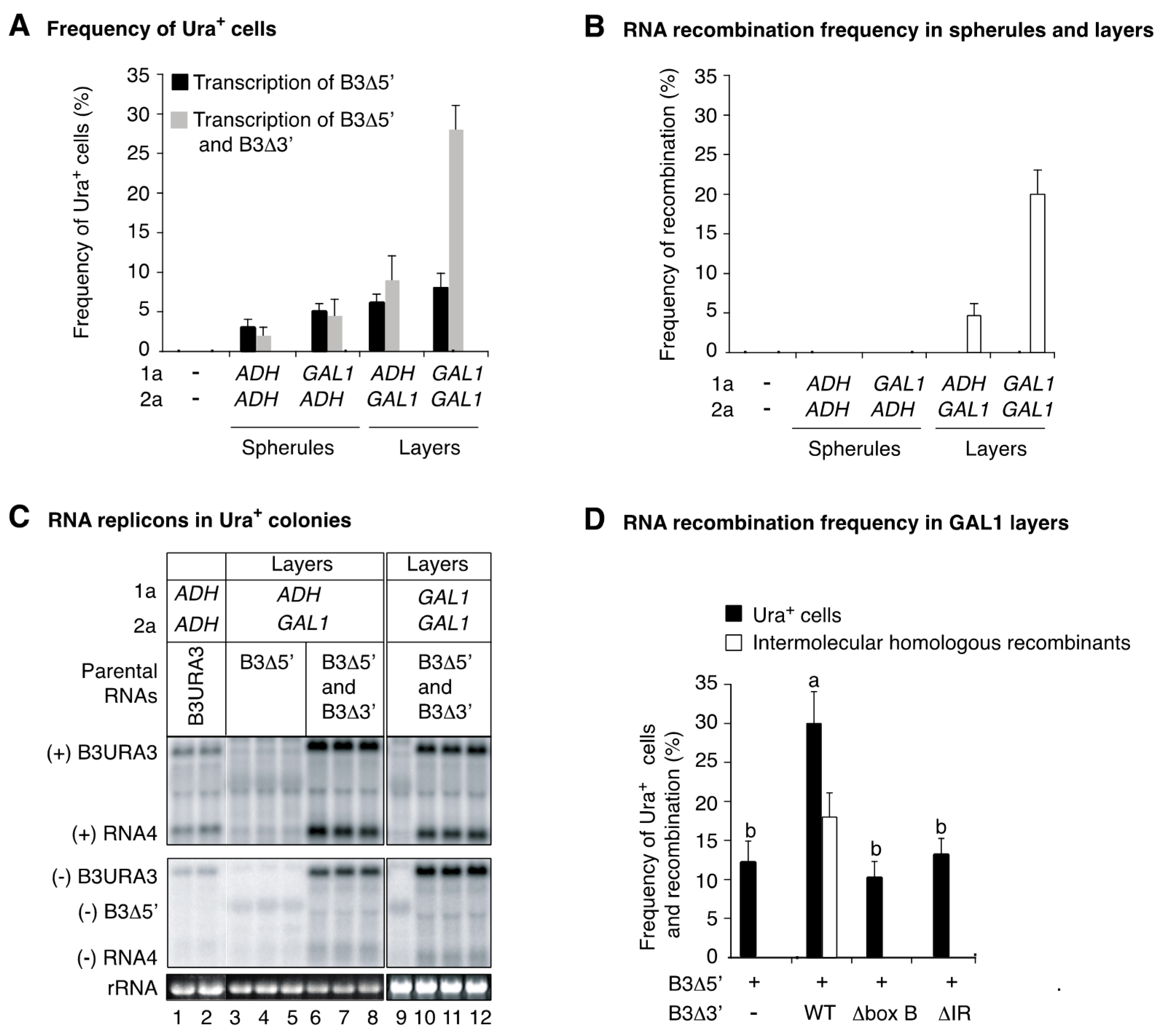 Viruses 10 00131 g008