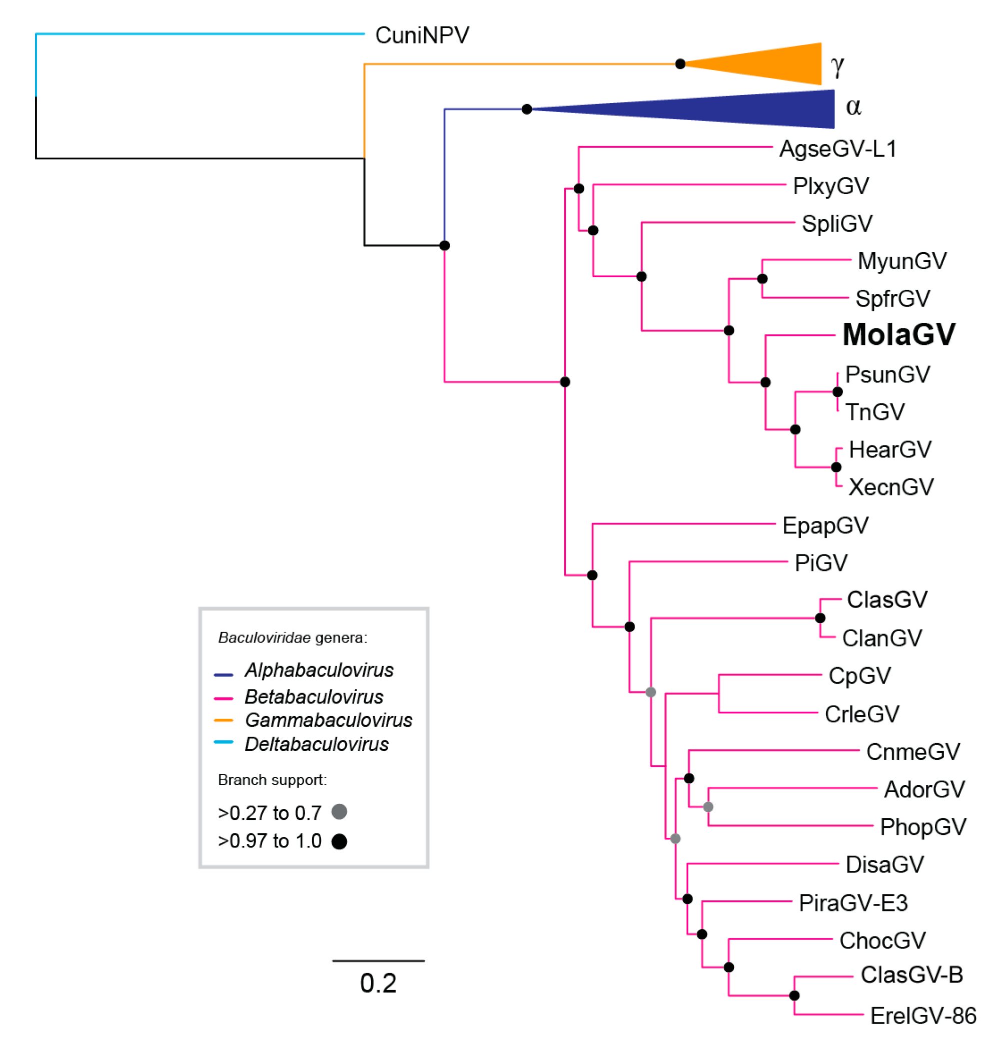 Viruses 10 00134 g001 Viruses 10 00134 g001