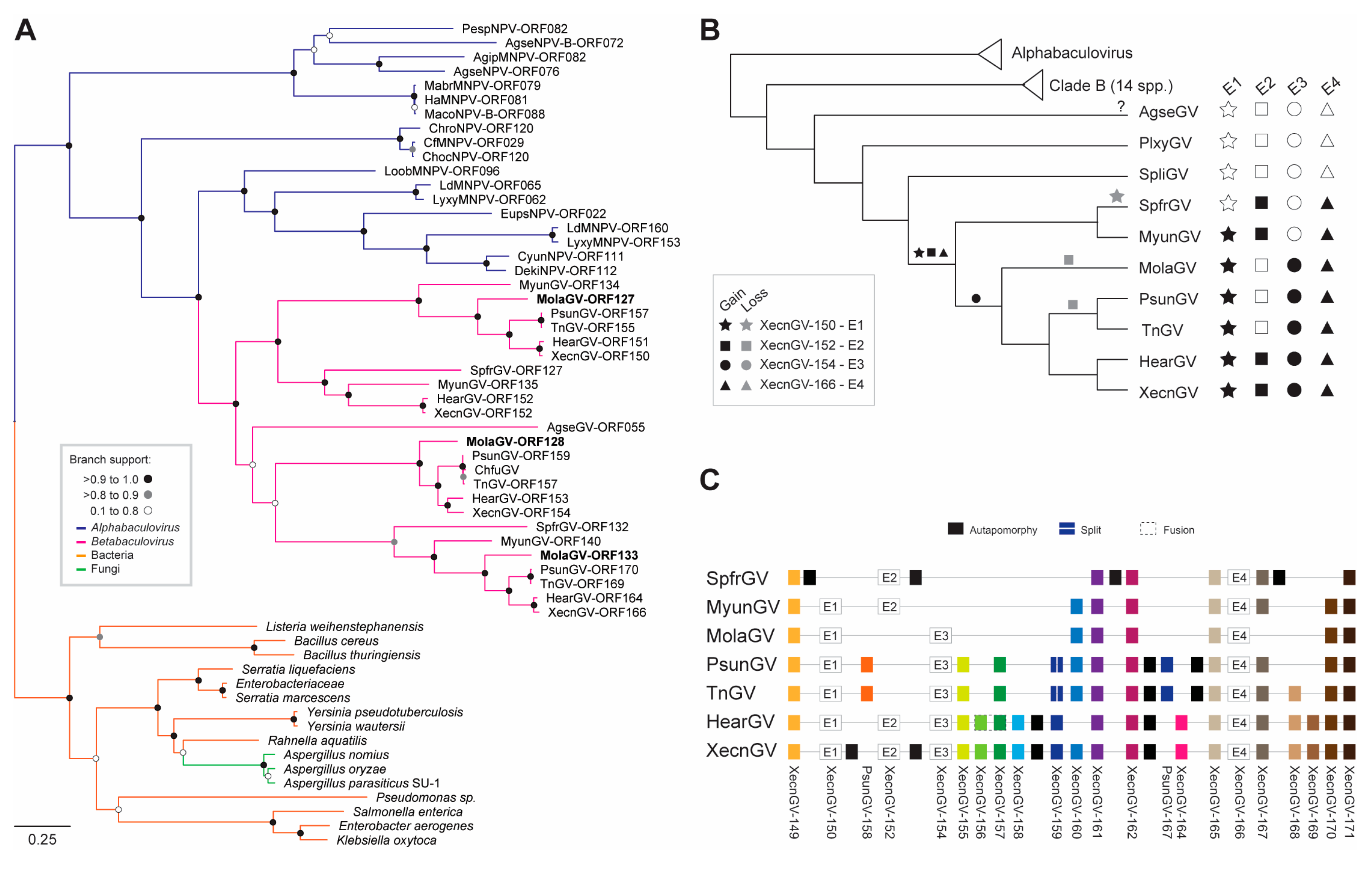 Viruses 10 00134 g002 Viruses 10 00134 g002