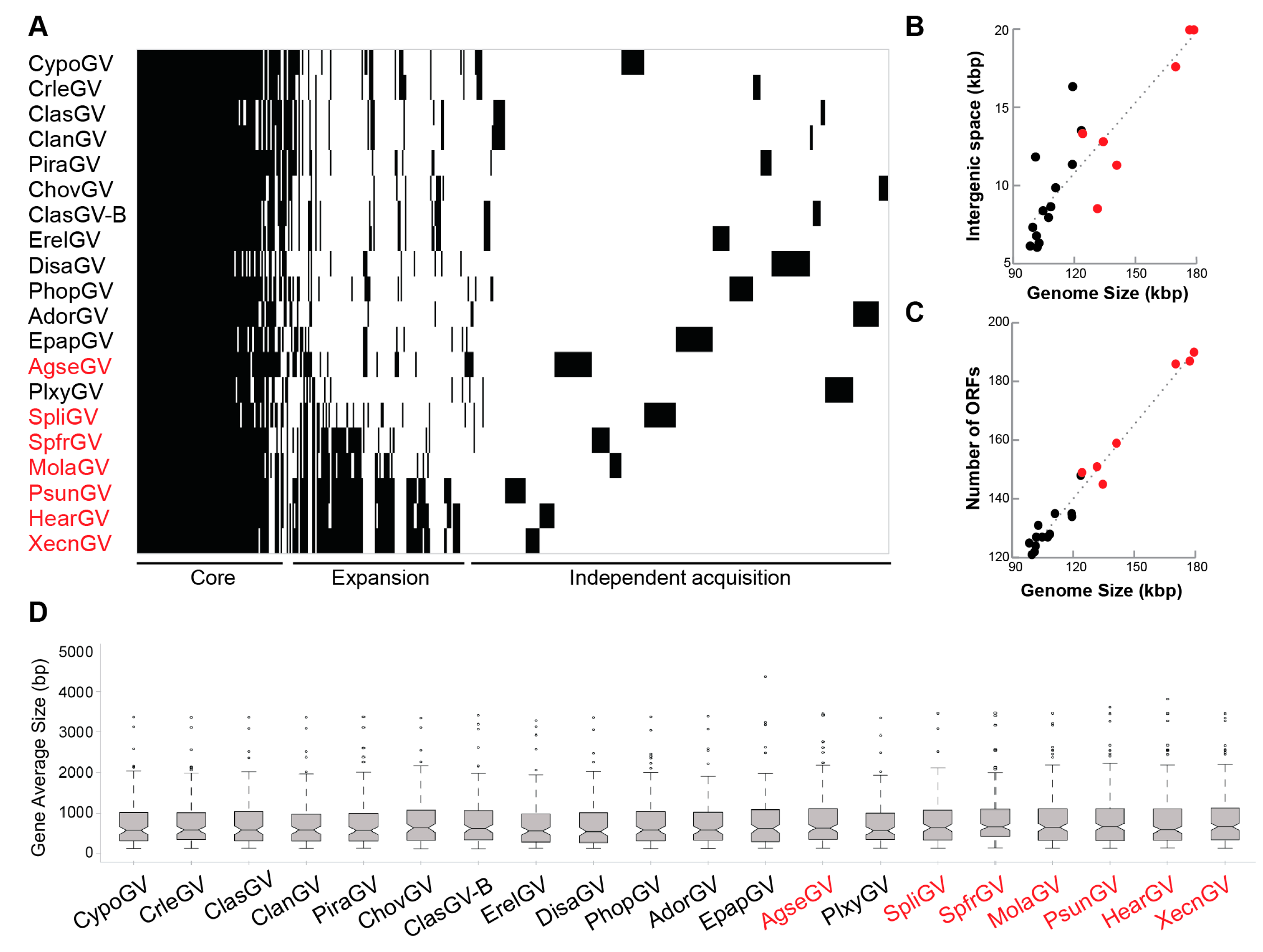 Viruses 10 00134 g004 Viruses 10 00134 g004