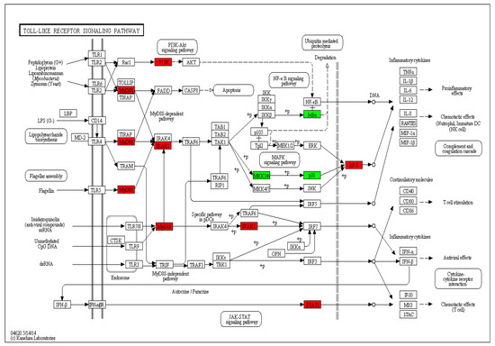 Transcriptome Analysis of Epithelioma Papulosum Cyprini