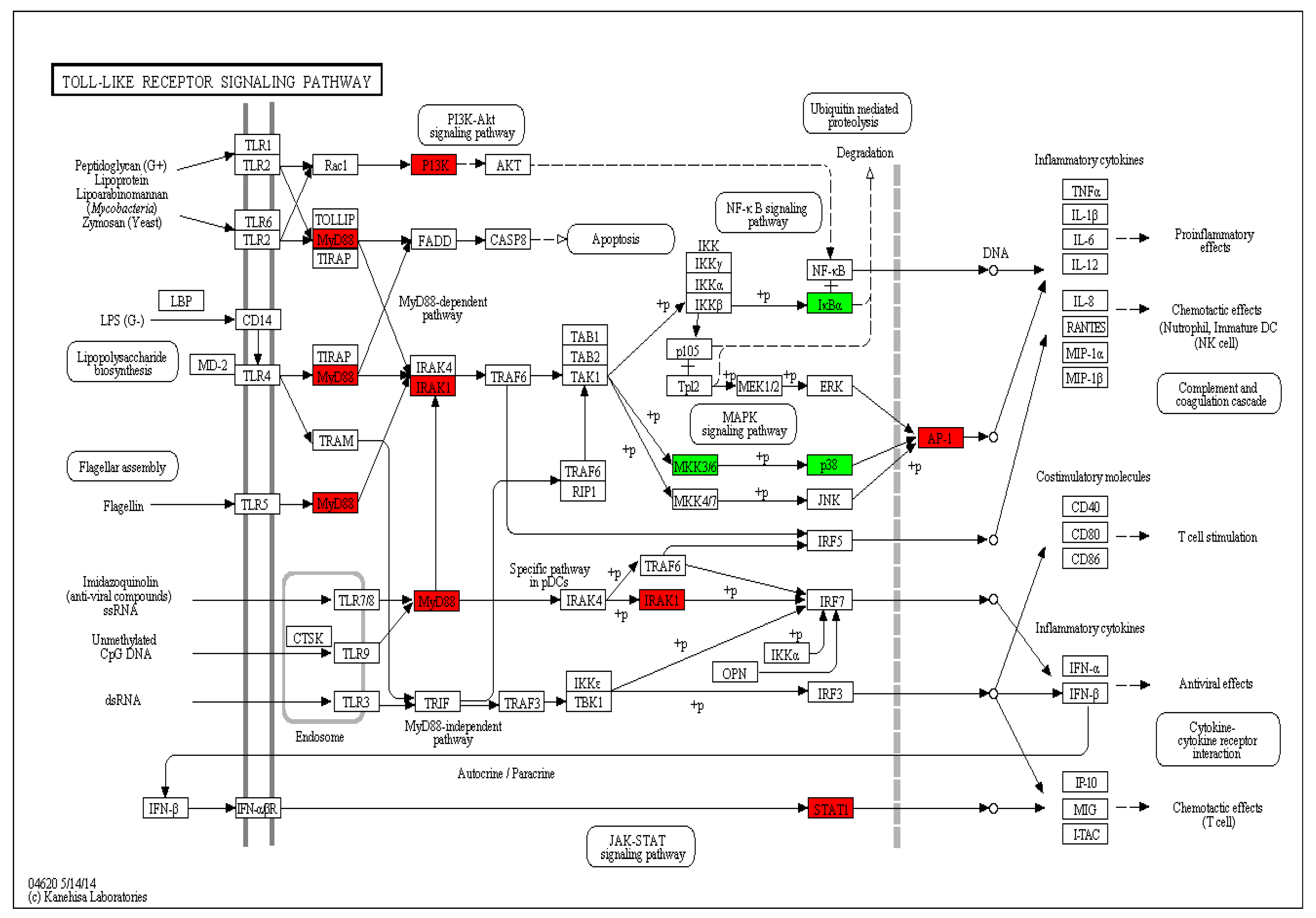 Viruses 10 00135 g009
