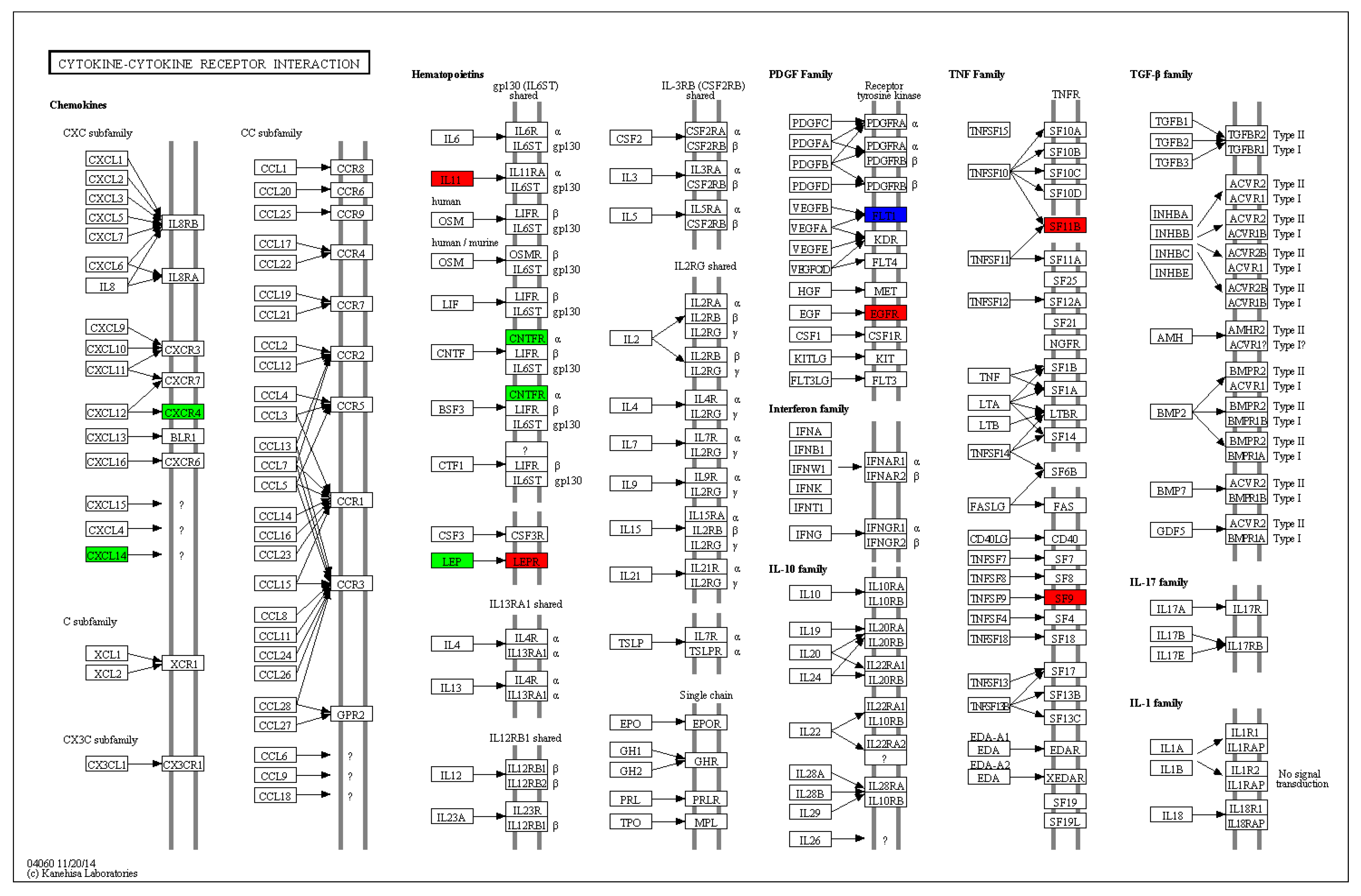 Viruses 10 00135 g010