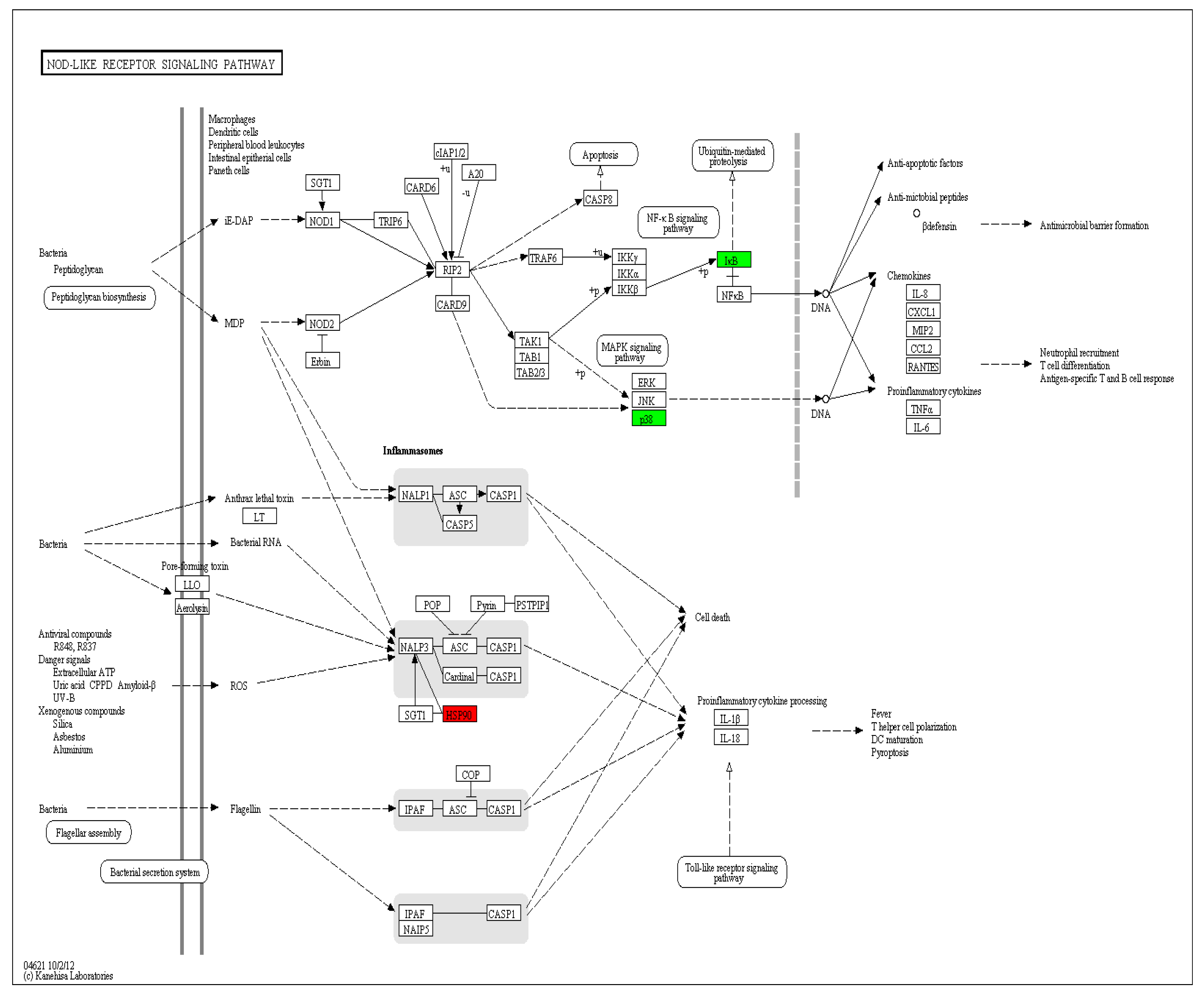 Viruses 10 00135 g012