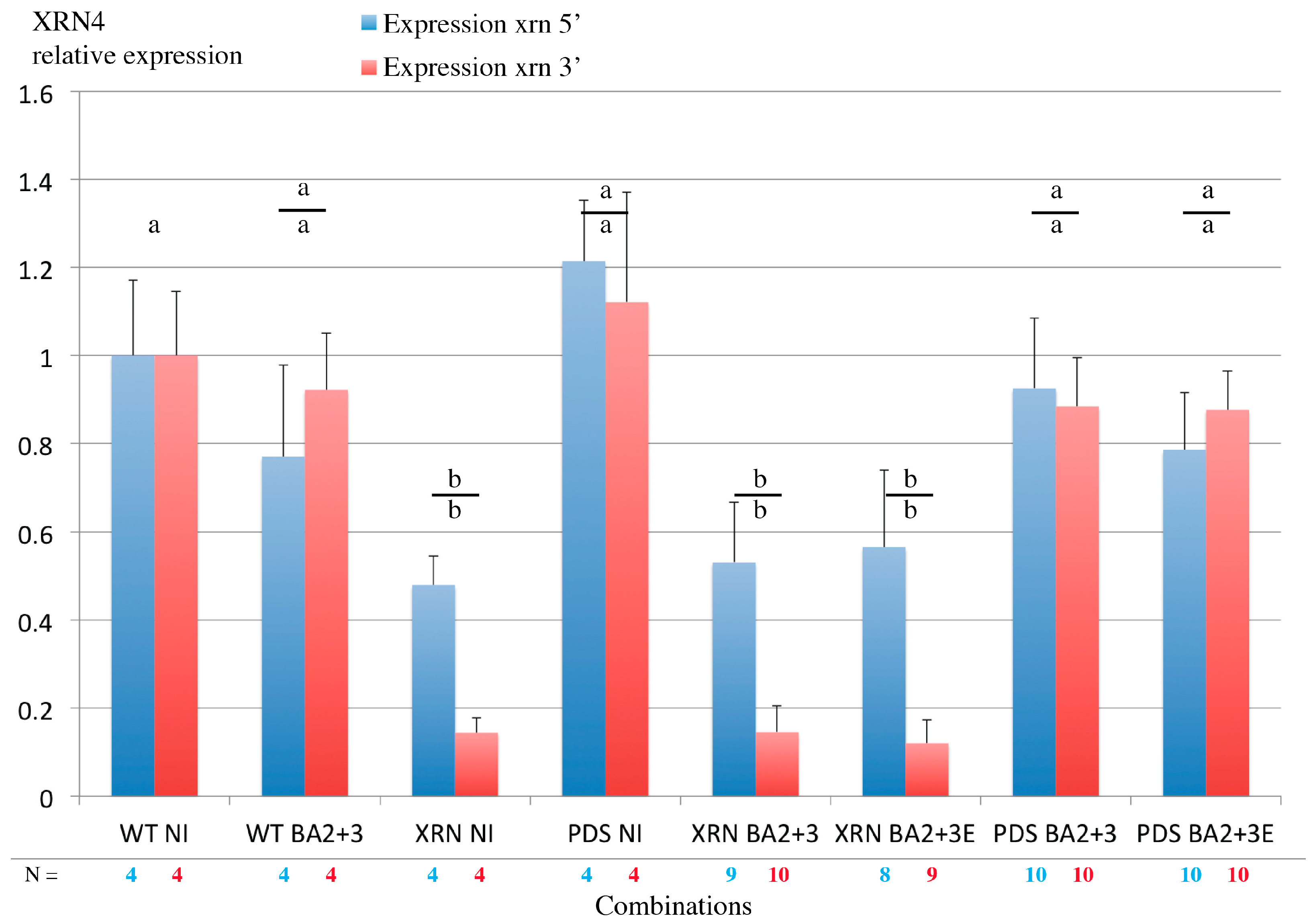 Viruses 10 00137 g008
