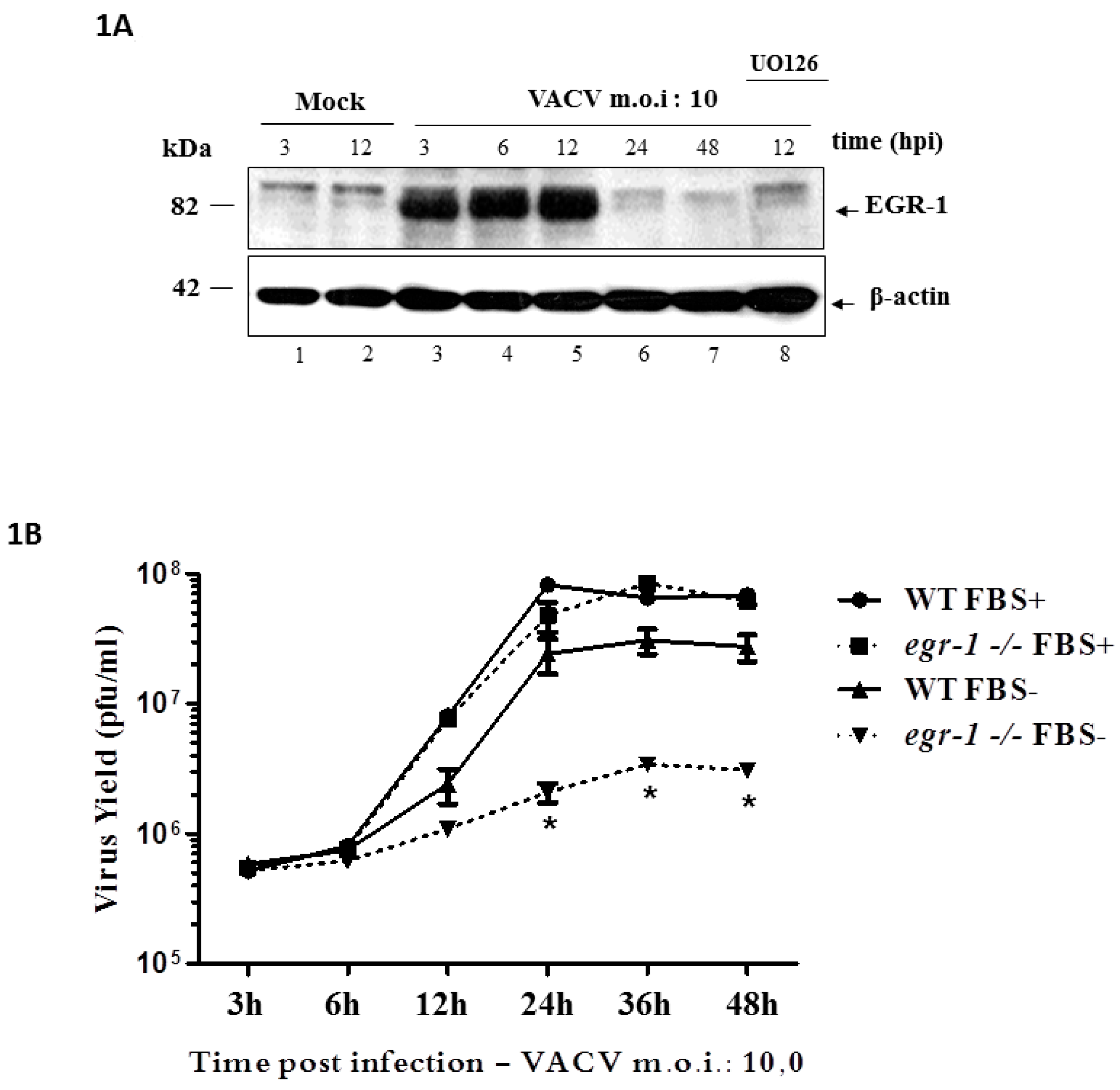 Viruses 10 00140 g001 Viruses 10 00140 g001