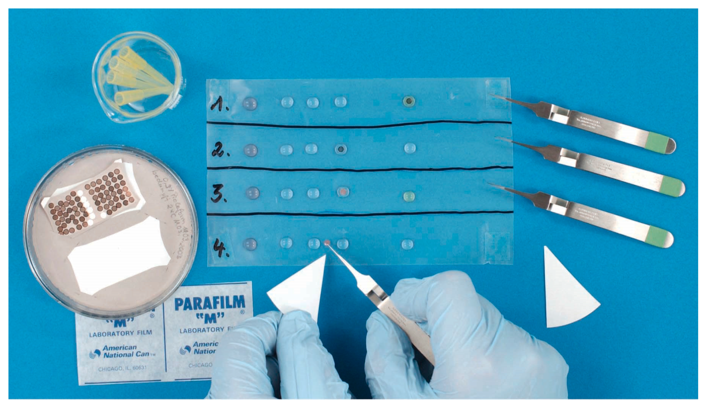 Viruses 10 00142 g014 Viruses 10 00142 g014