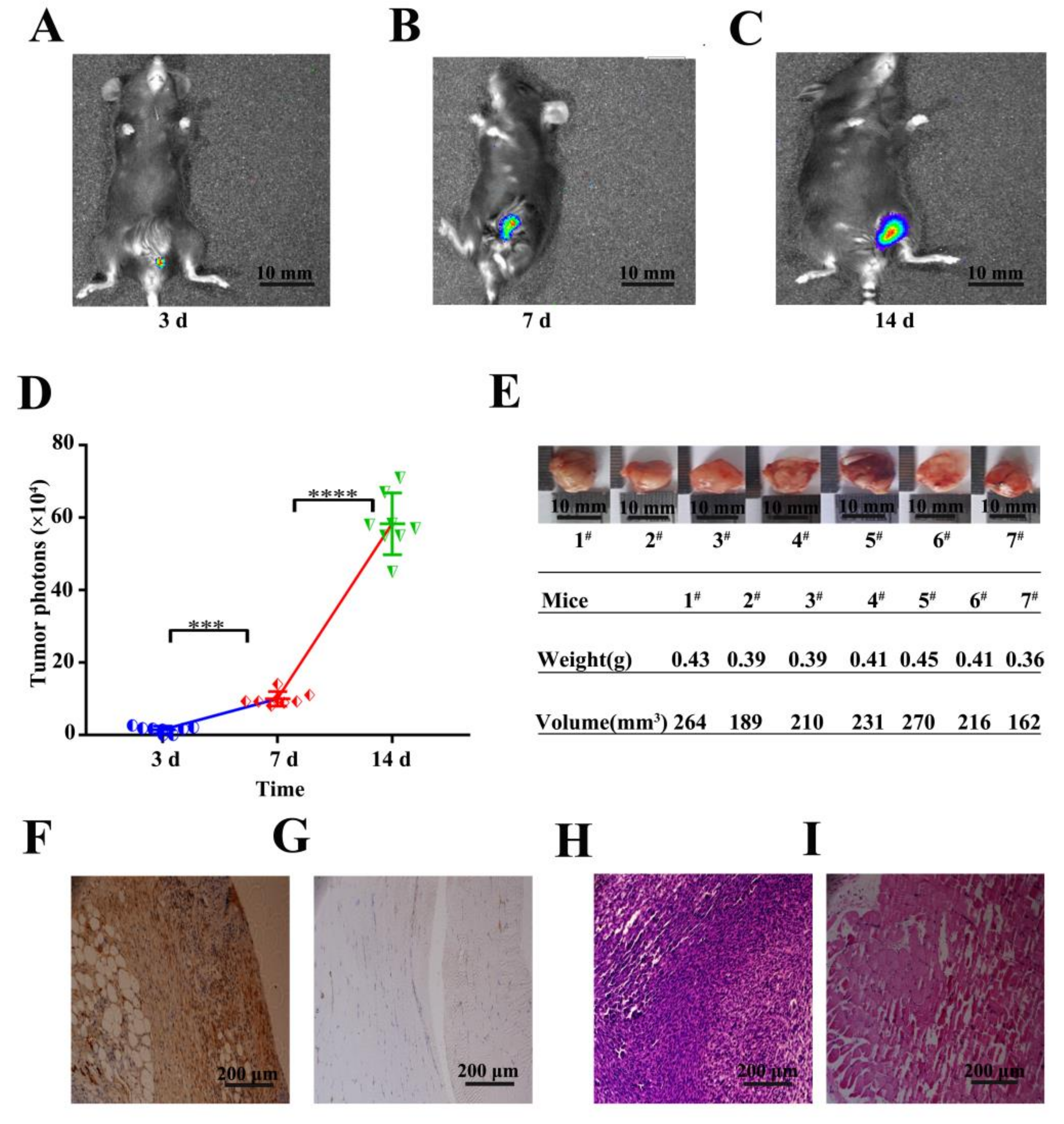 Viruses 10 00145 g006 Viruses 10 00145 g006