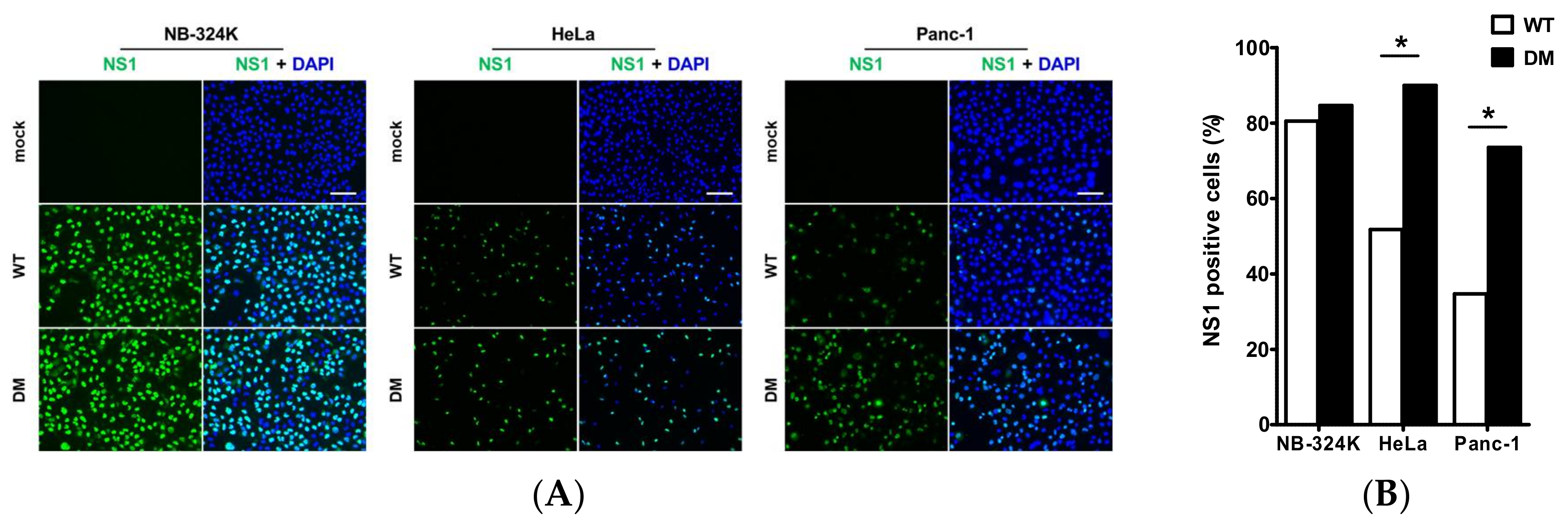 Viruses 10 00150 g003