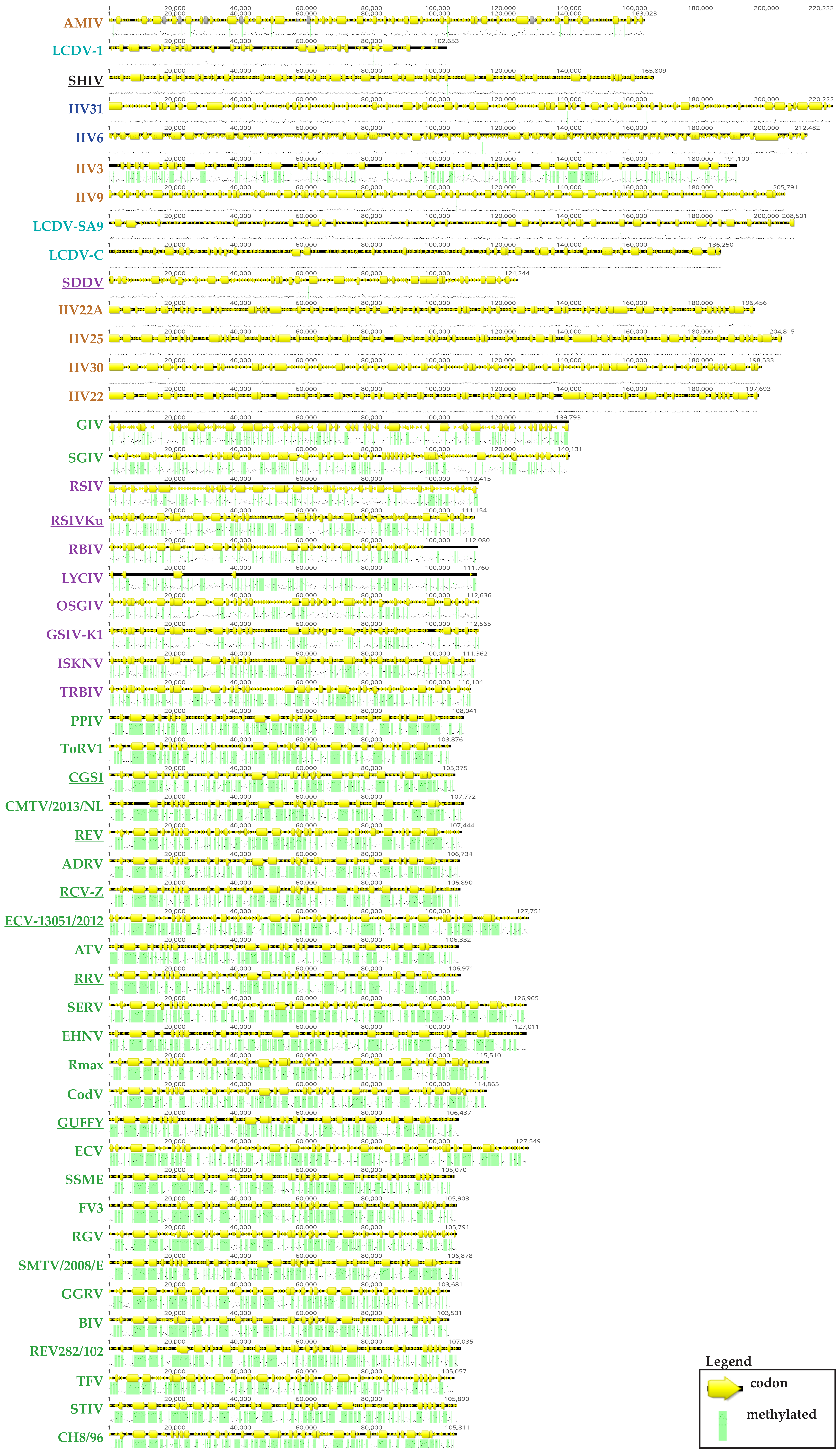 Viruses 10 00161 g005