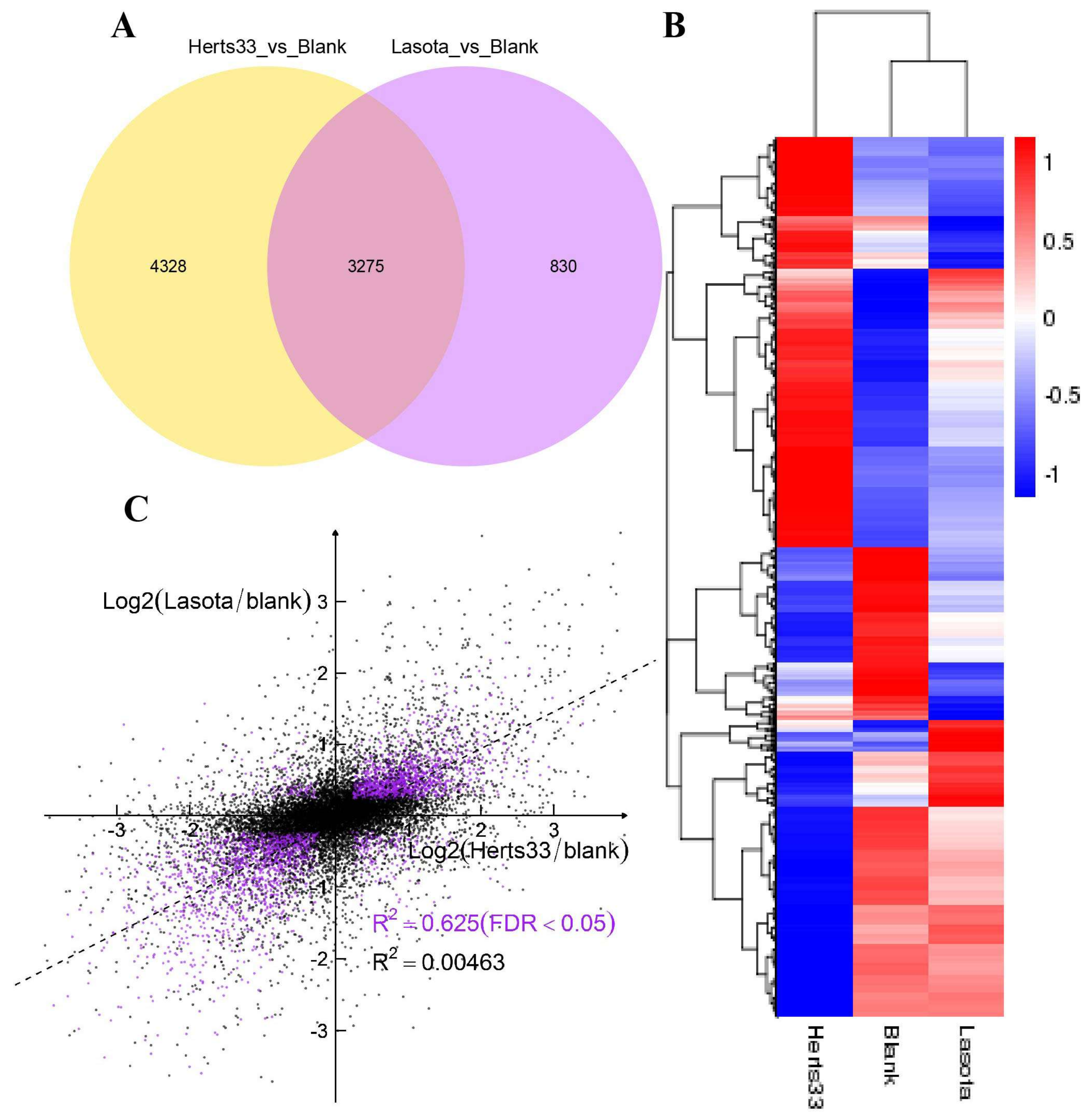 Viruses 10 00162 g001 550