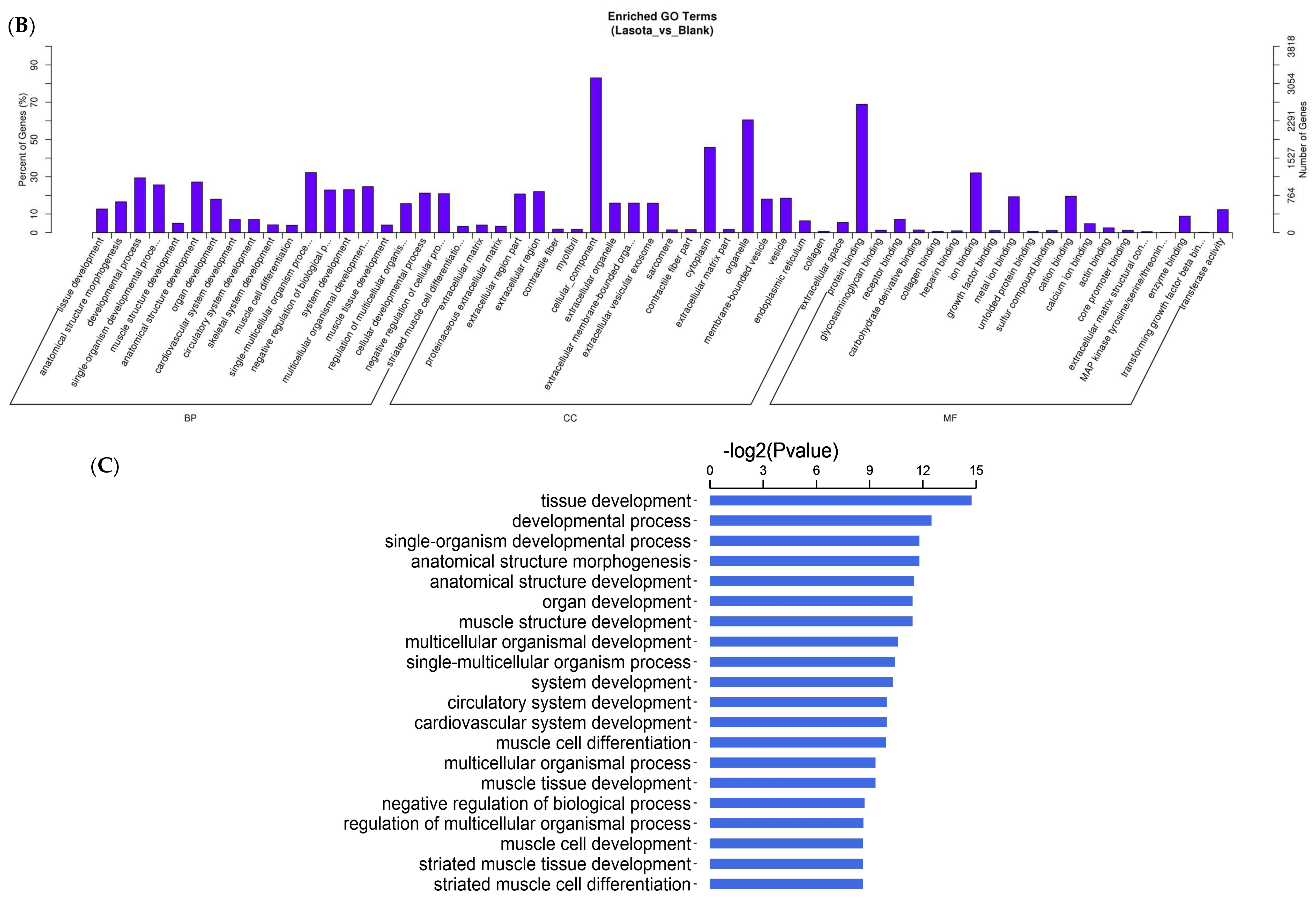 Viruses 10 00162 g002b 550