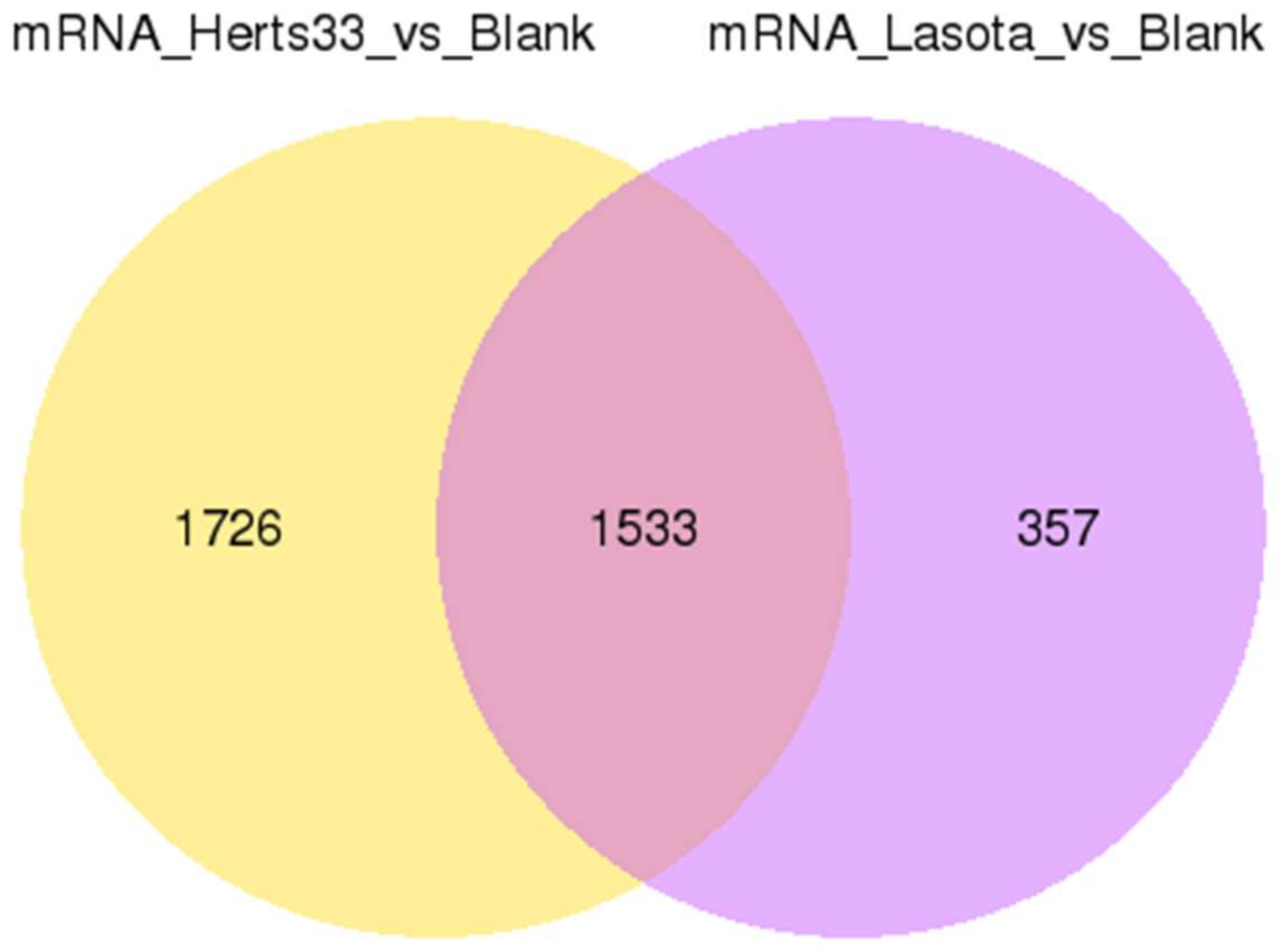 Viruses 10 00162 g004 550