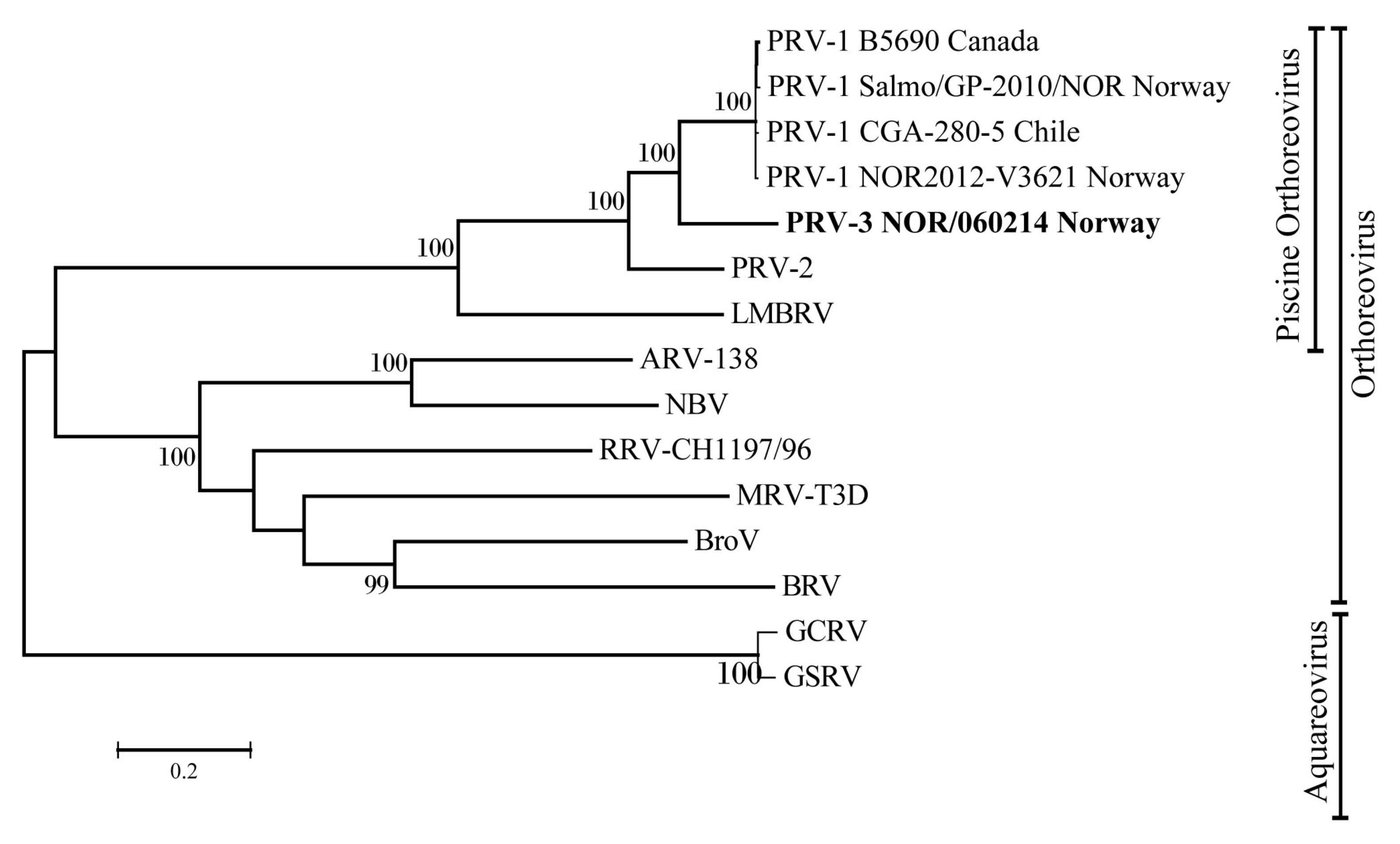 Viruses 10 00170 g005