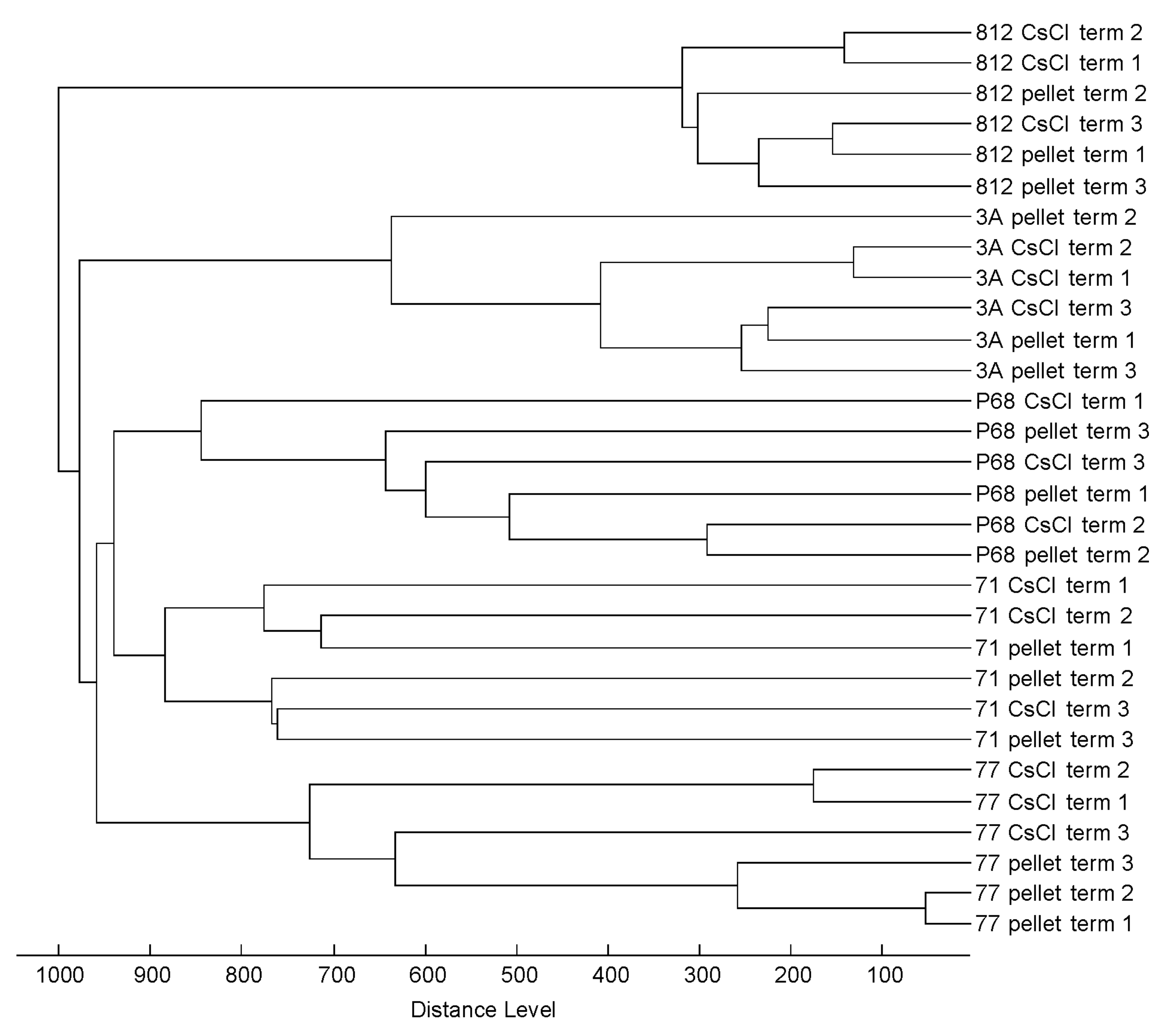 Viruses 10 00176 g002