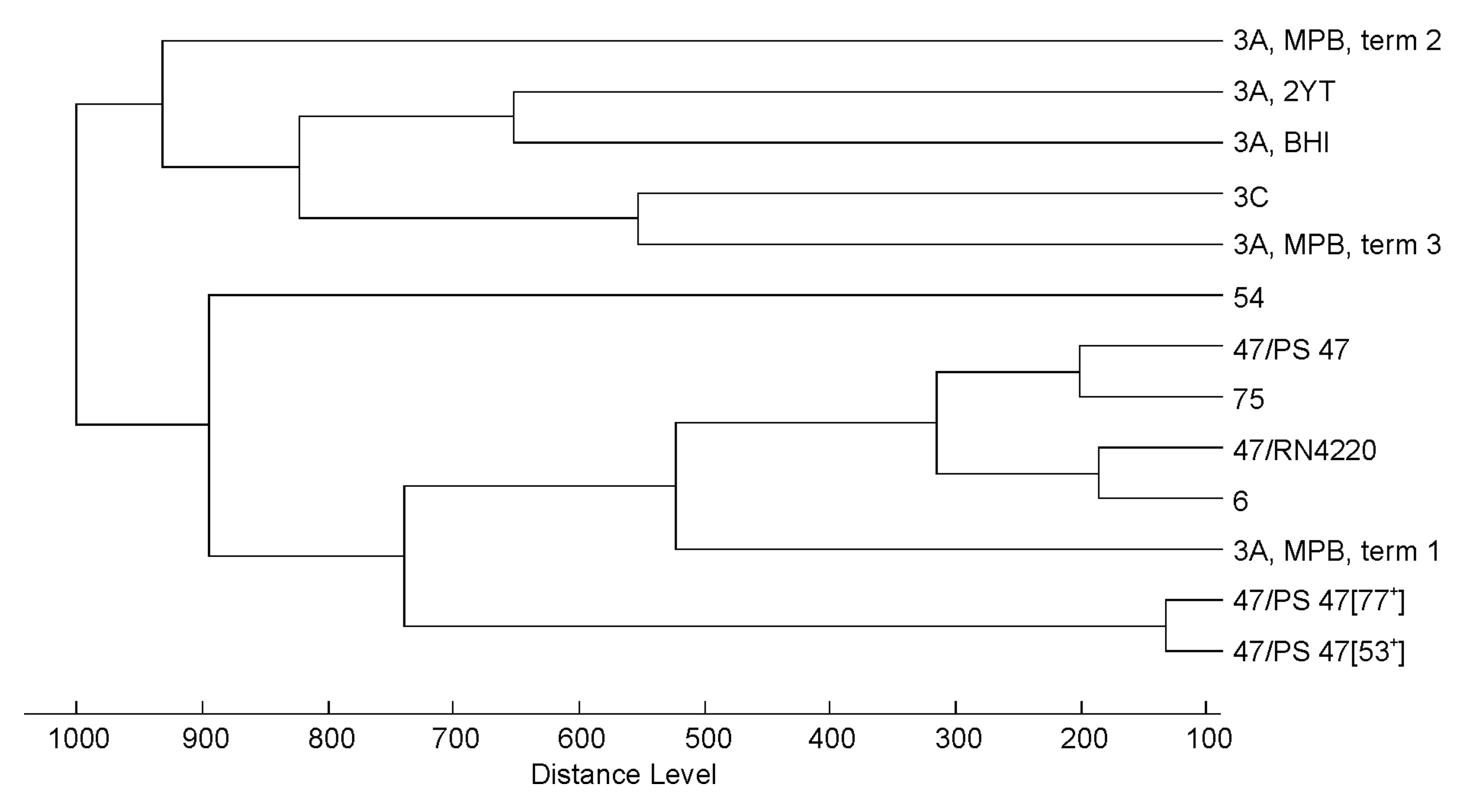 Viruses 10 00176 g004