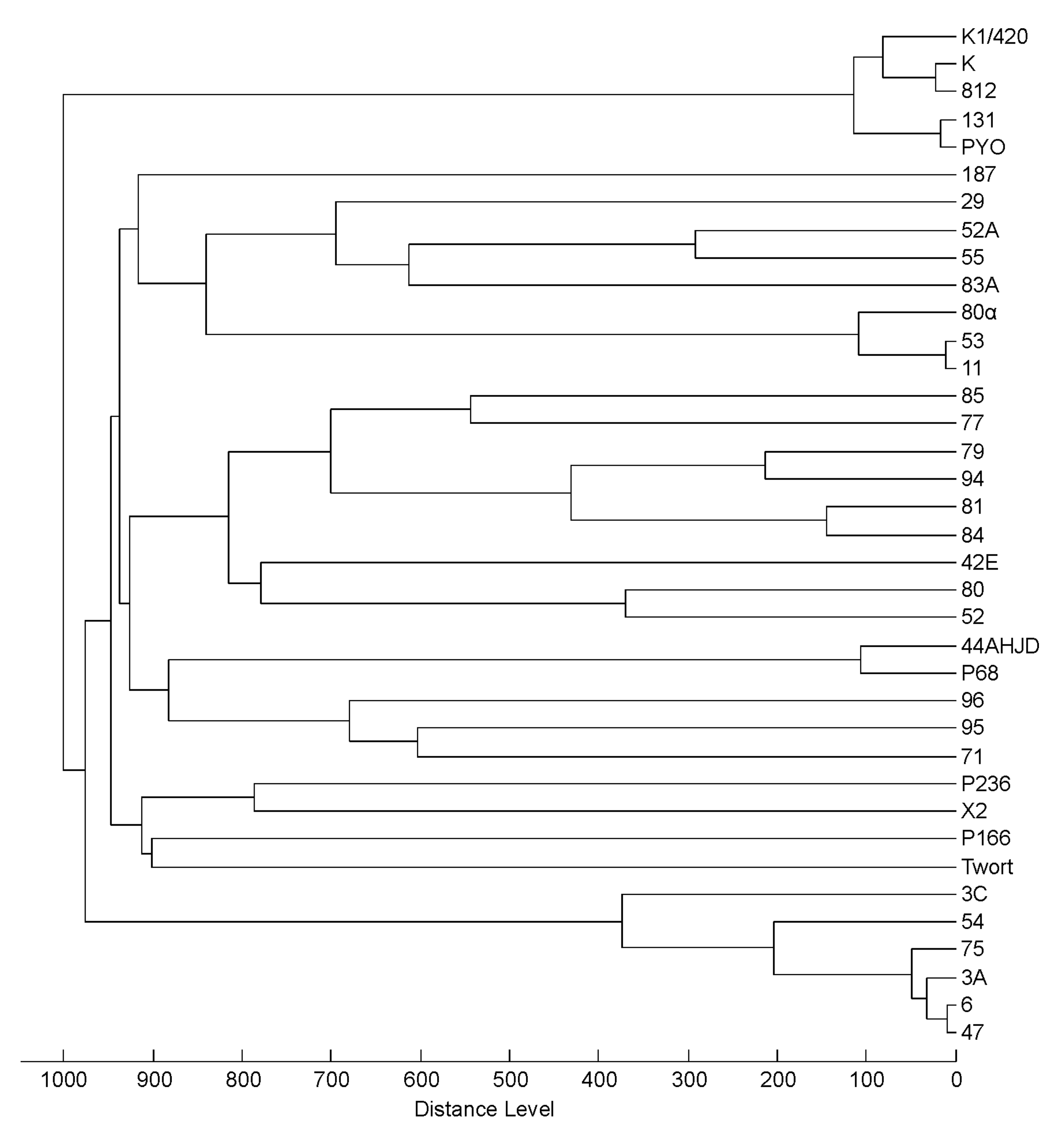 Viruses 10 00176 g005