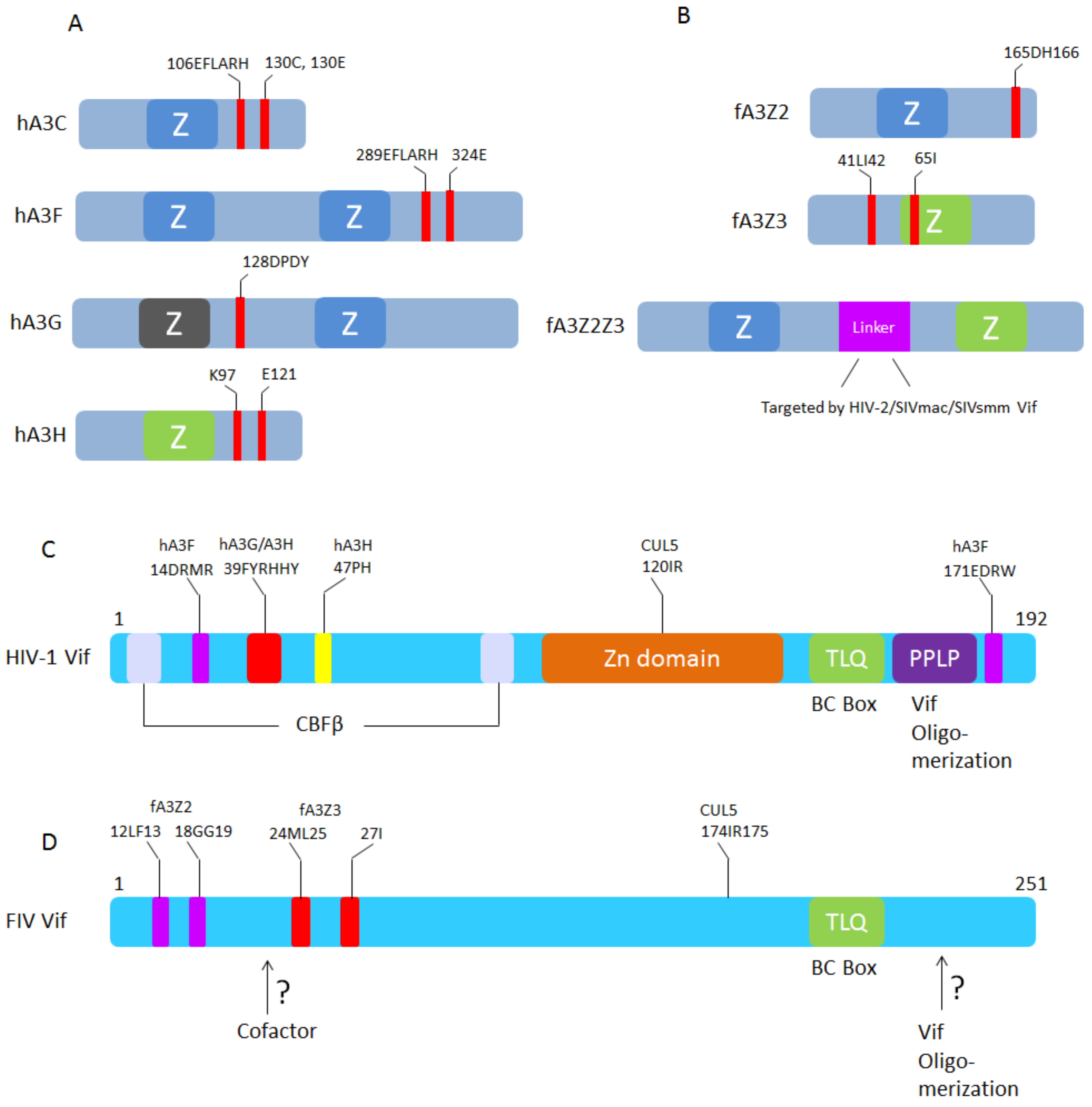 Viruses 10 00186 g005