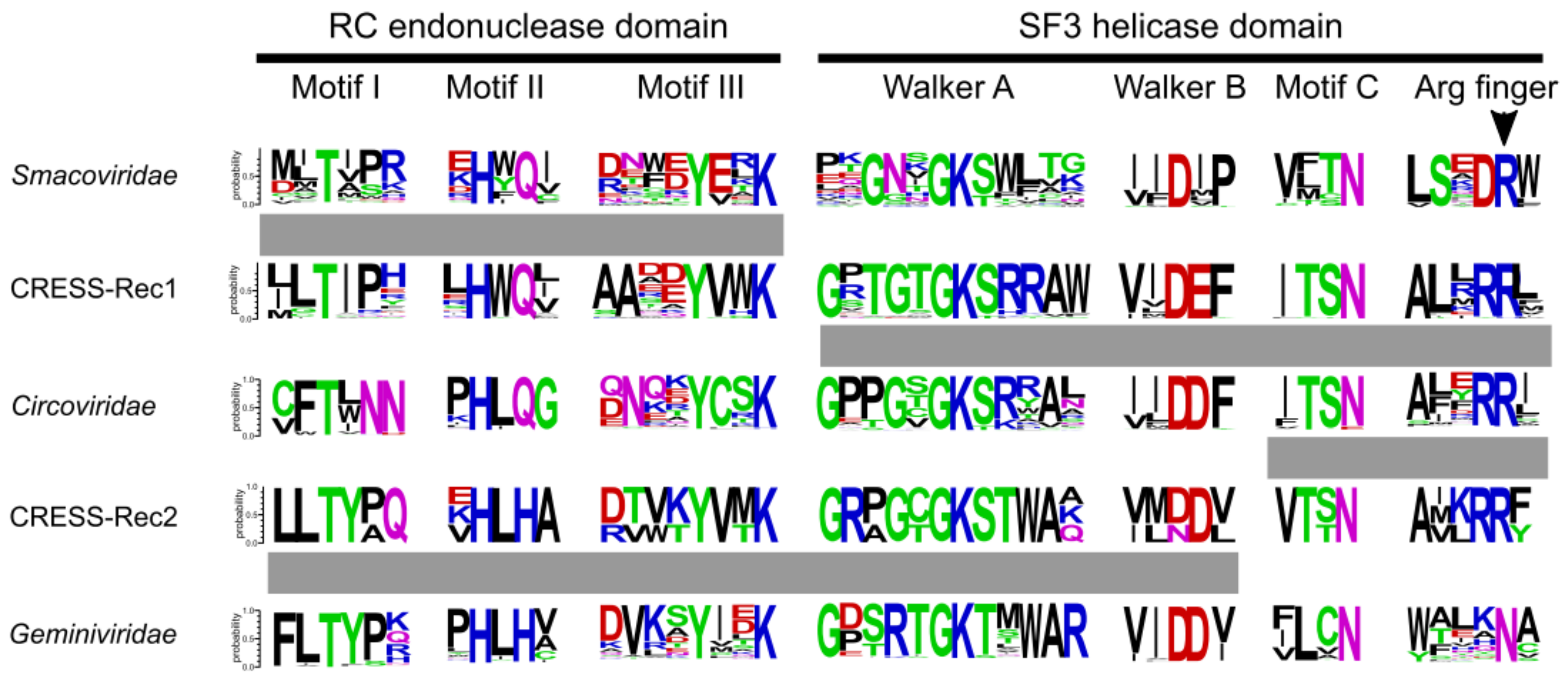 Viruses 10 00187 g002