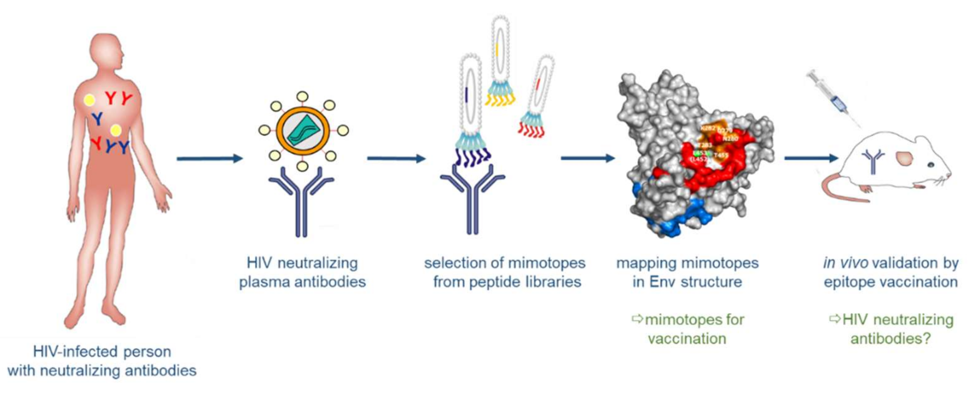 Viruses 10 00197 g005 Viruses 10 00197 g005