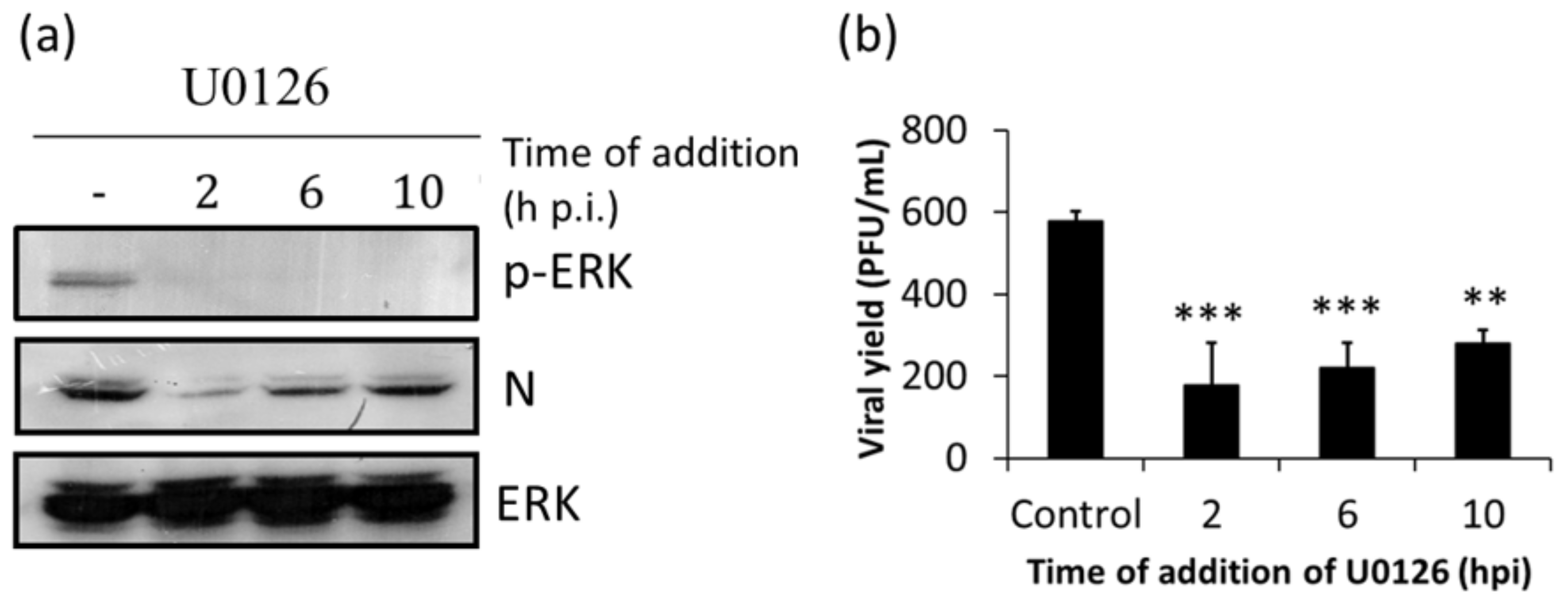 Viruses 10 00199 g002