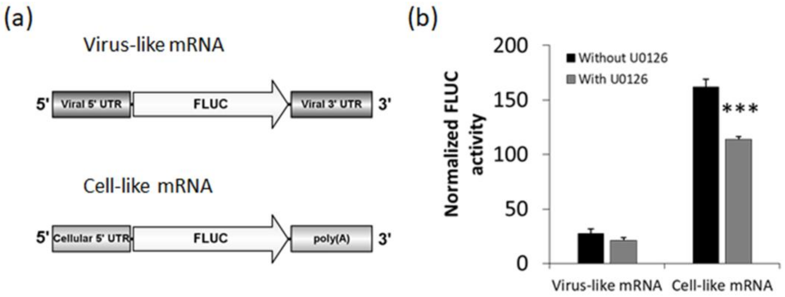 Viruses 10 00199 g005