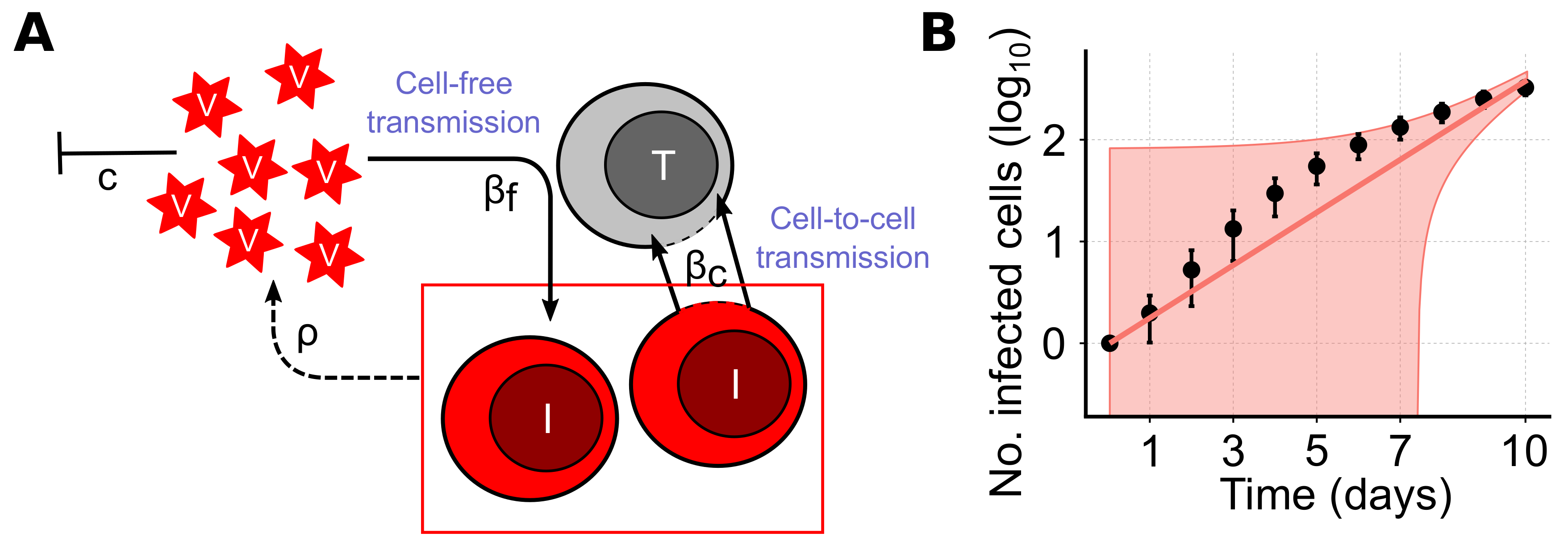 Viruses 10 00200 g002