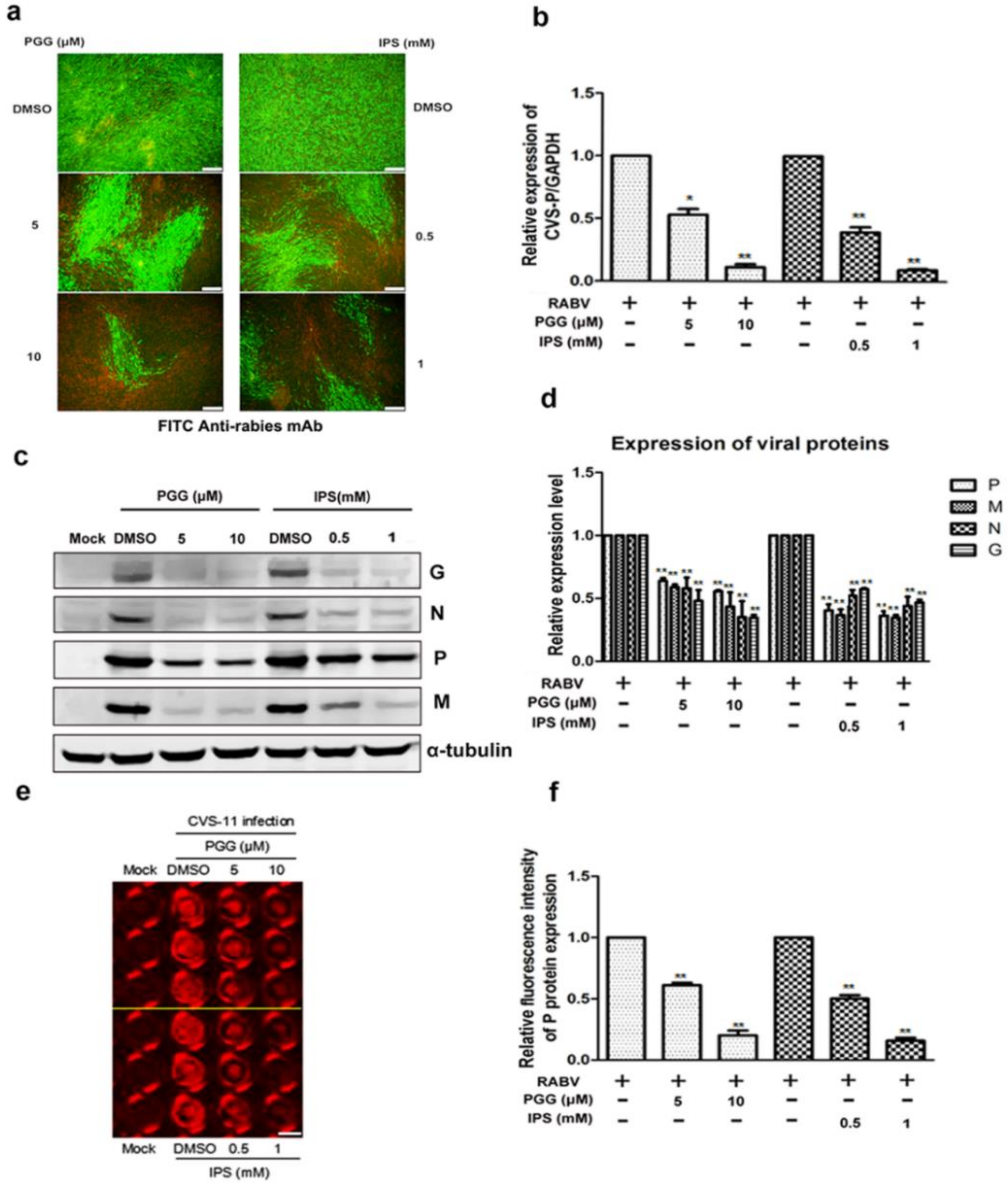 Viruses 10 00201 g002 Viruses 10 00201 g002