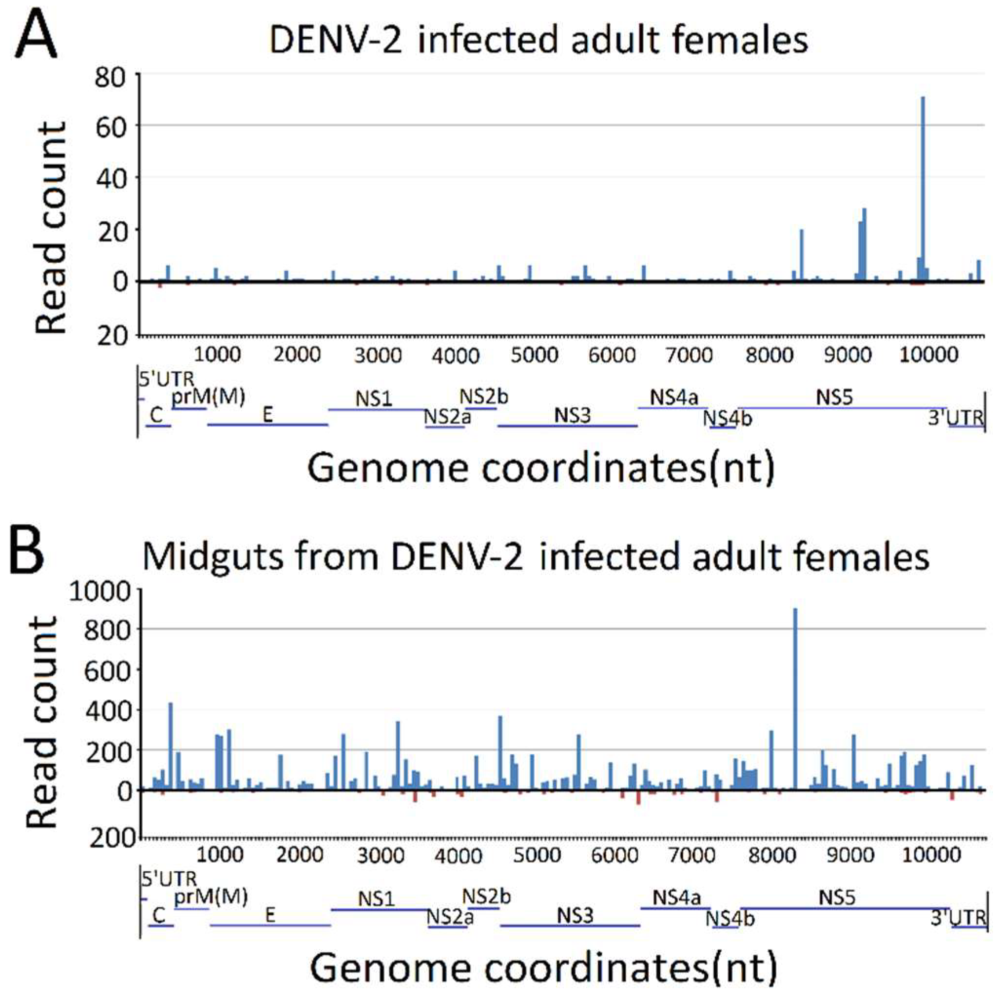 Viruses 10 00213 g005 Viruses 10 00213 g005