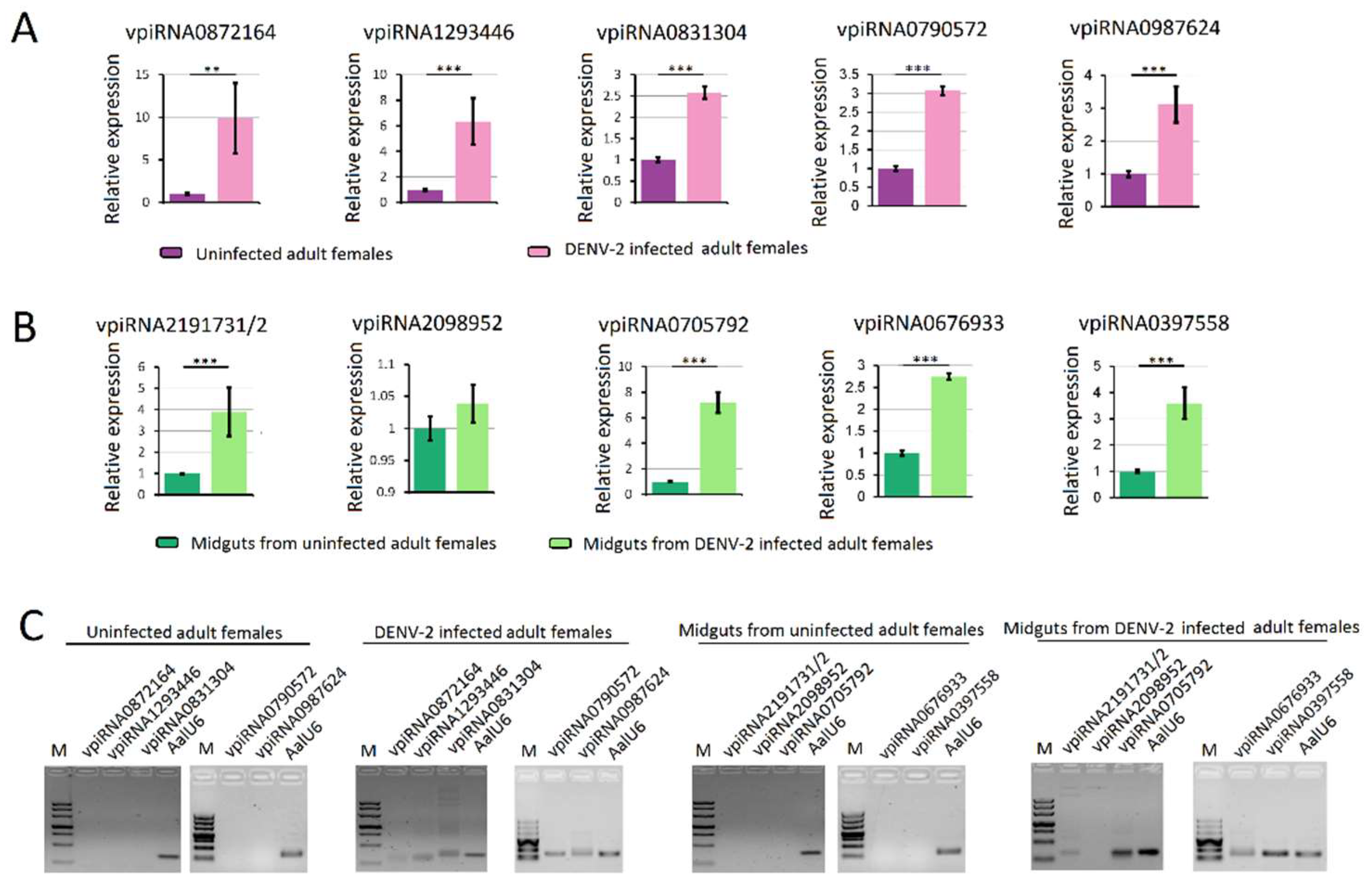 Viruses 10 00213 g008 Viruses 10 00213 g008