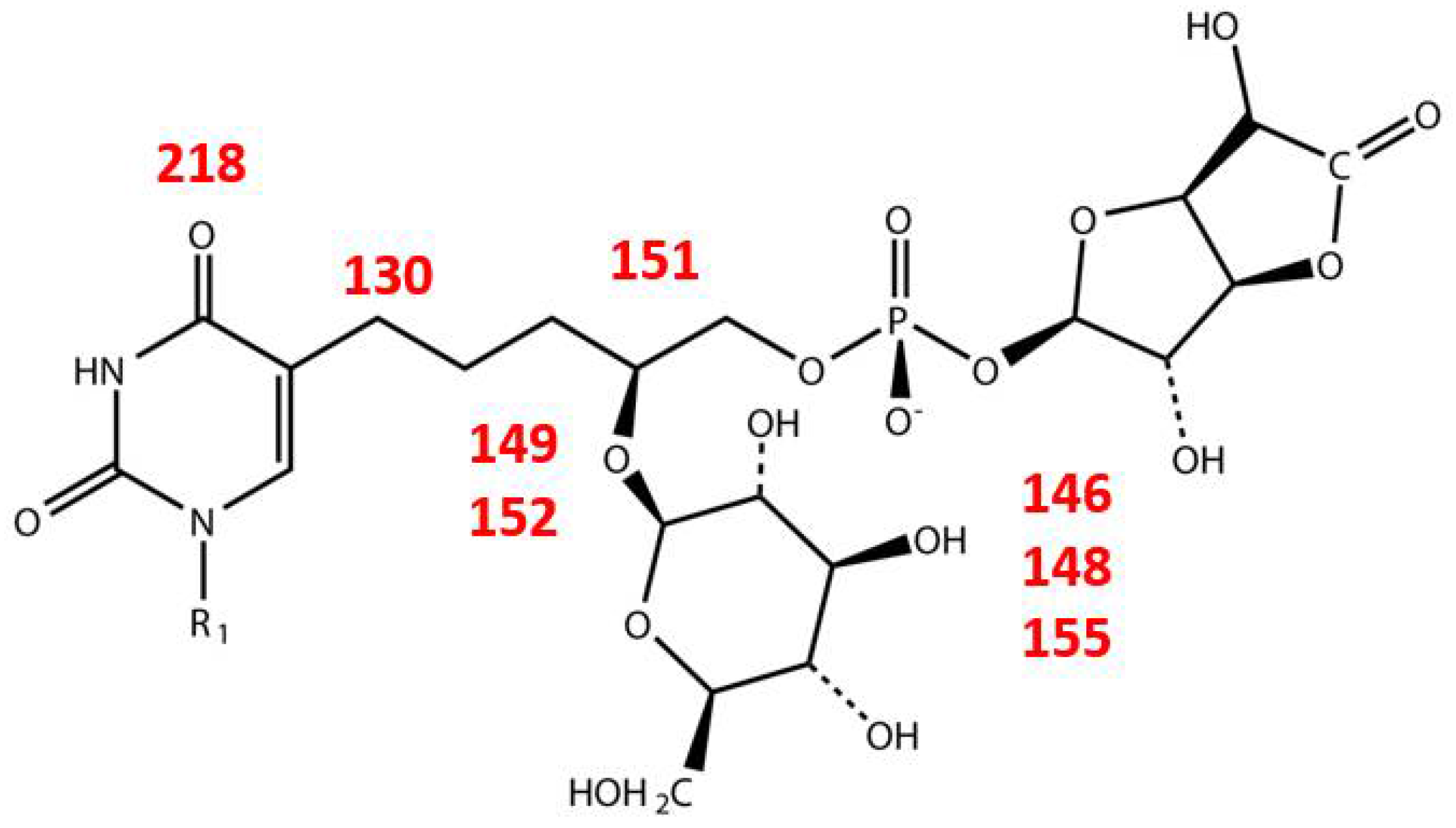Viruses 10 00217 g006 Viruses 10 00217 g006