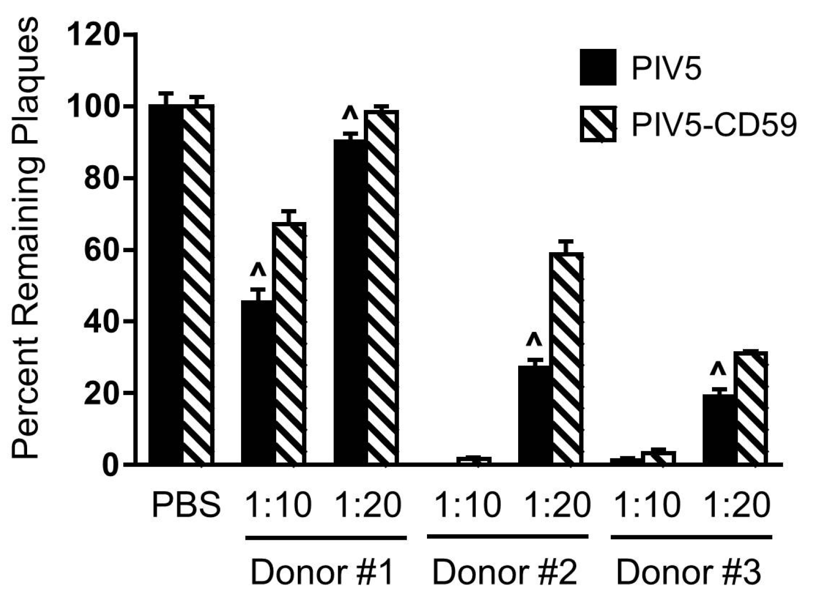 Viruses 10 00219 g006