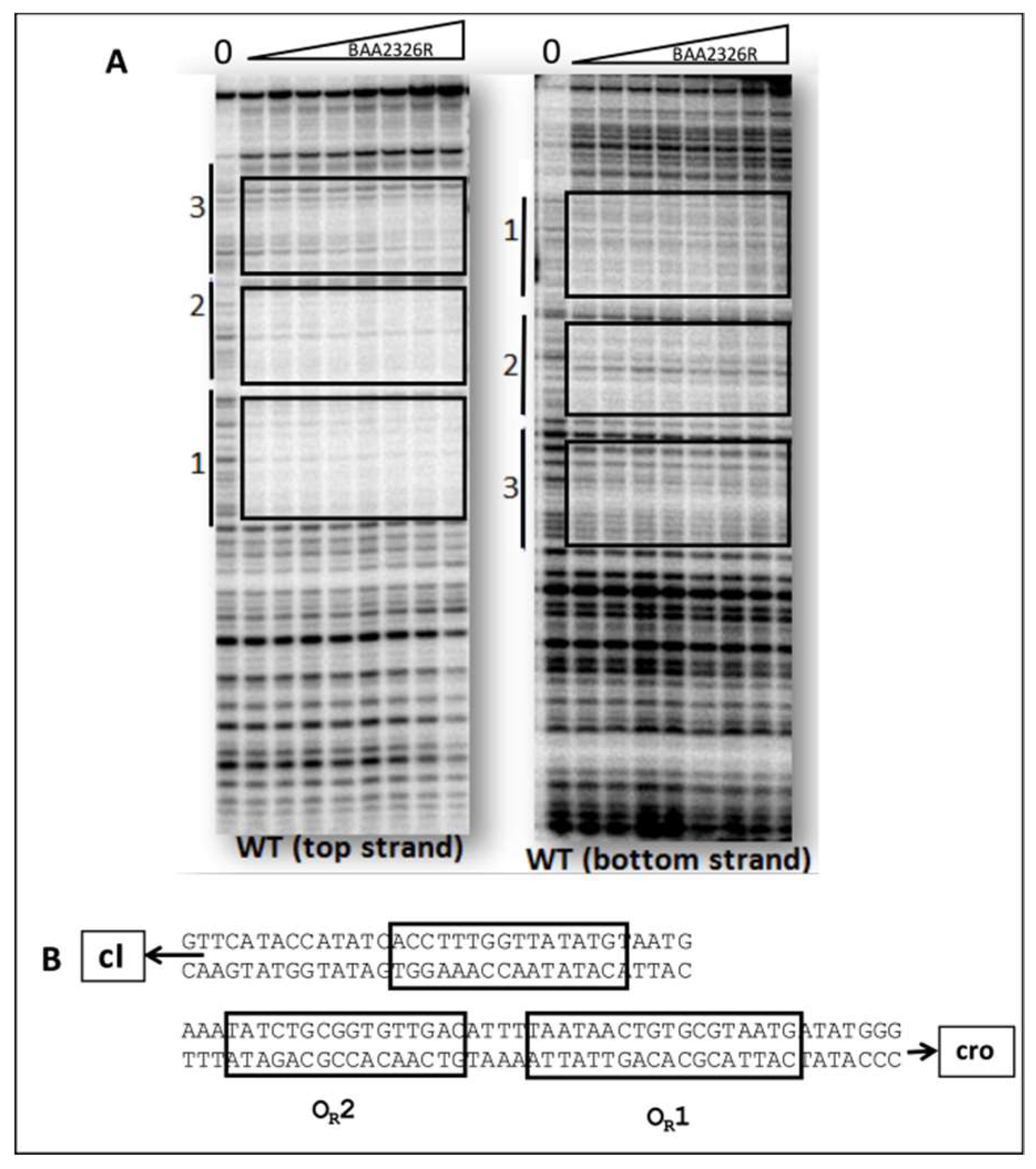 Viruses 10 00228 g002 Viruses 10 00228 g002
