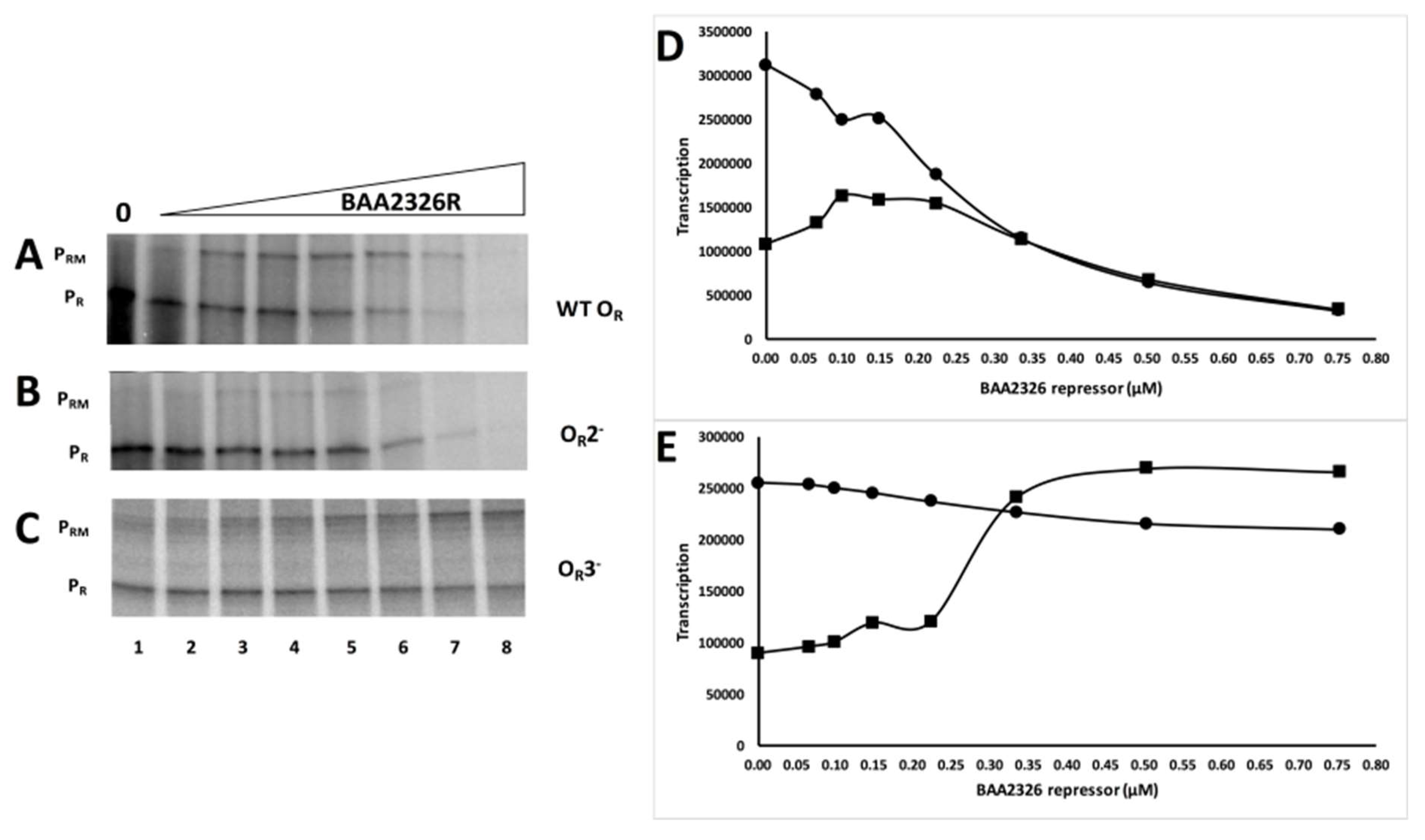 Viruses 10 00228 g004 Viruses 10 00228 g004