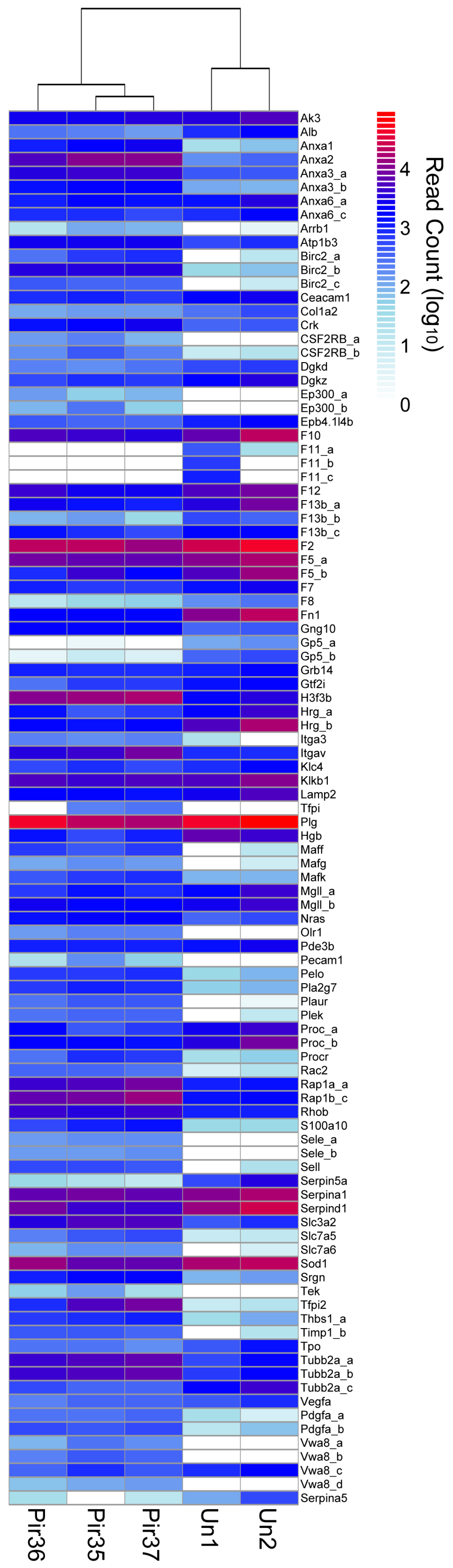 Viruses 10 00232 g004