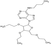 Viruses 10 00235 i001 Viruses 10 00235 i001