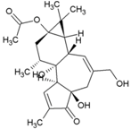 Viruses 10 00235 i037 Viruses 10 00235 i037