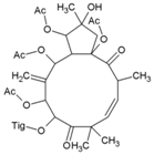 Viruses 10 00235 i058 Viruses 10 00235 i058