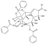 Viruses 10 00235 i060 Viruses 10 00235 i060