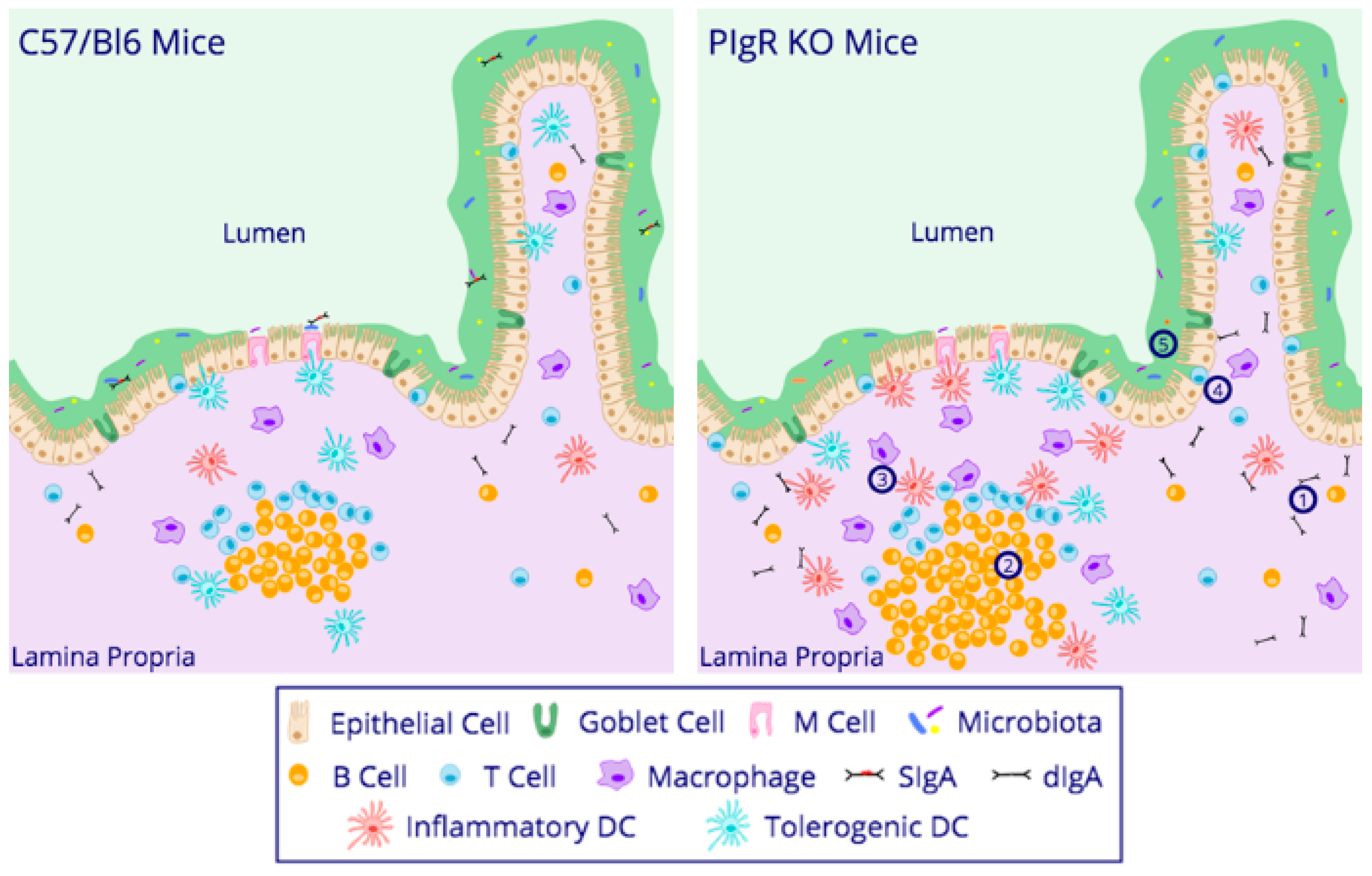 Viruses 10 00237 g002 Viruses 10 00237 g002