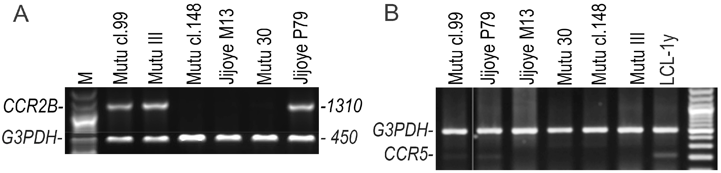 Viruses 10 00239 g002 Viruses 10 00239 g002
