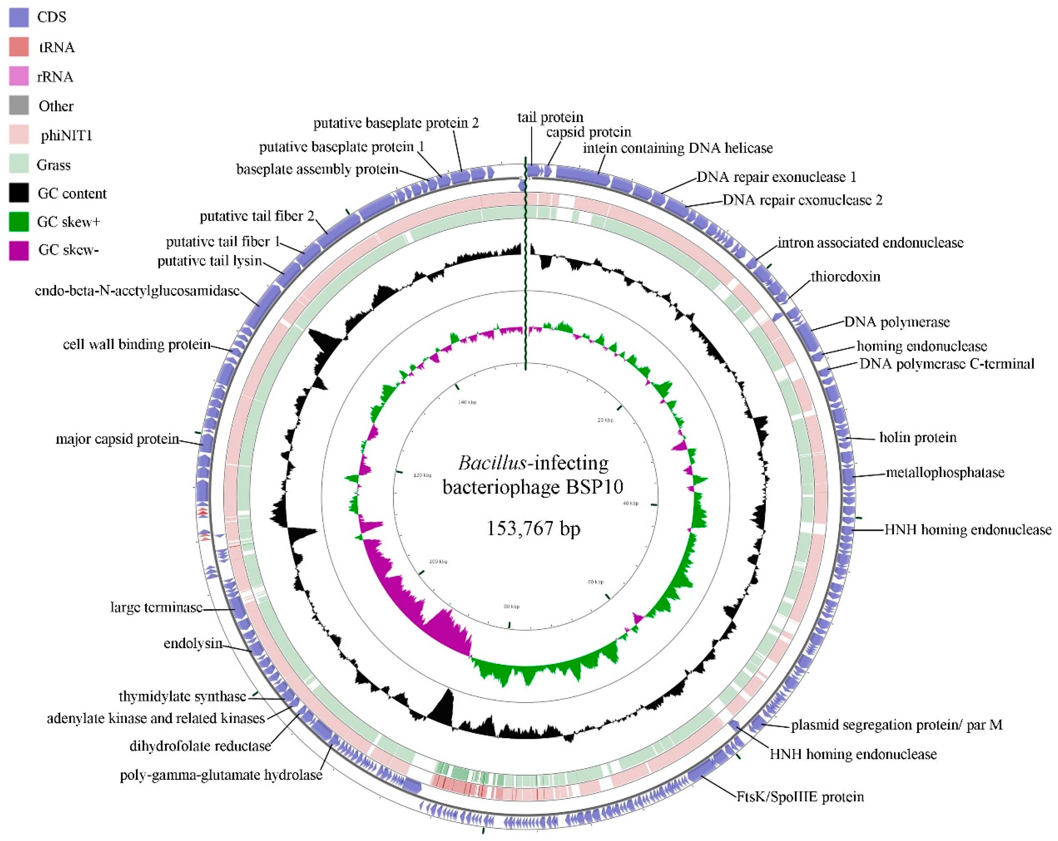 Viruses 10 00240 g003 Viruses 10 00240 g003