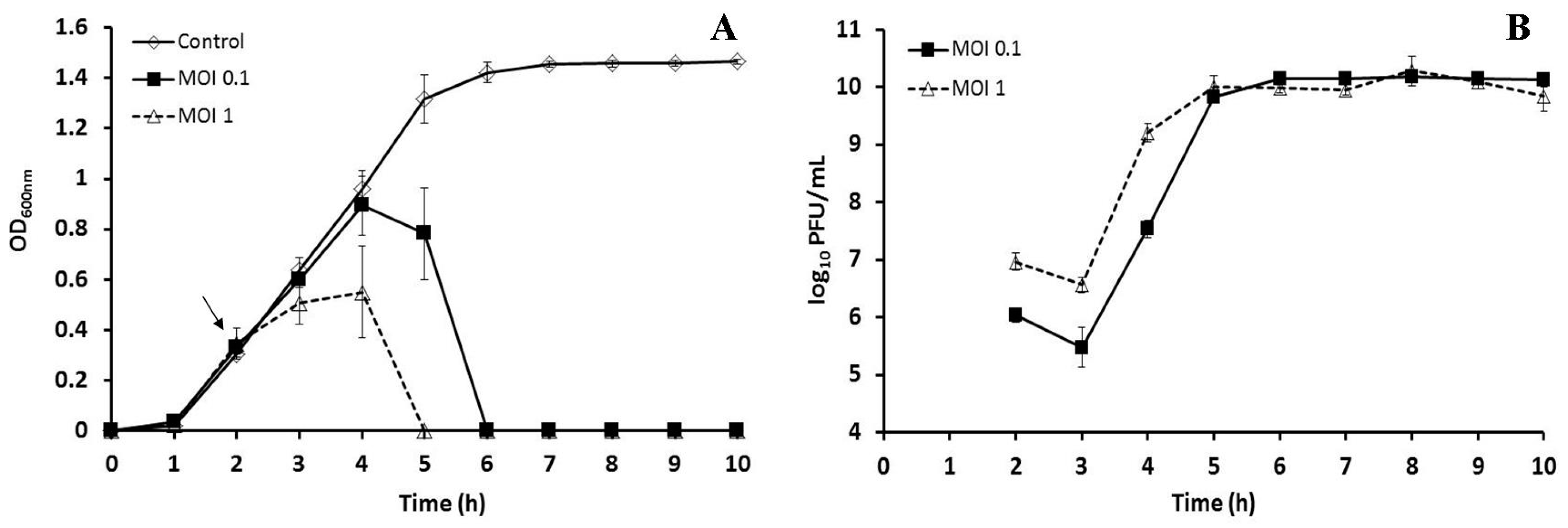 Viruses 10 00240 g005 Viruses 10 00240 g005