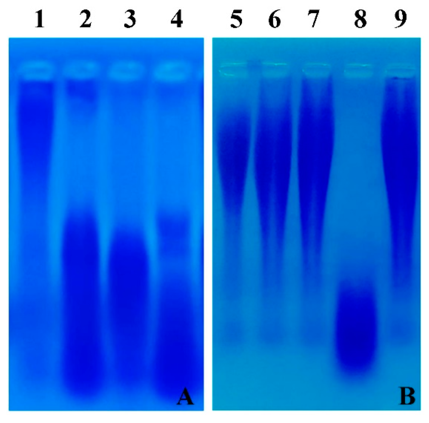Viruses 10 00240 g007 Viruses 10 00240 g007