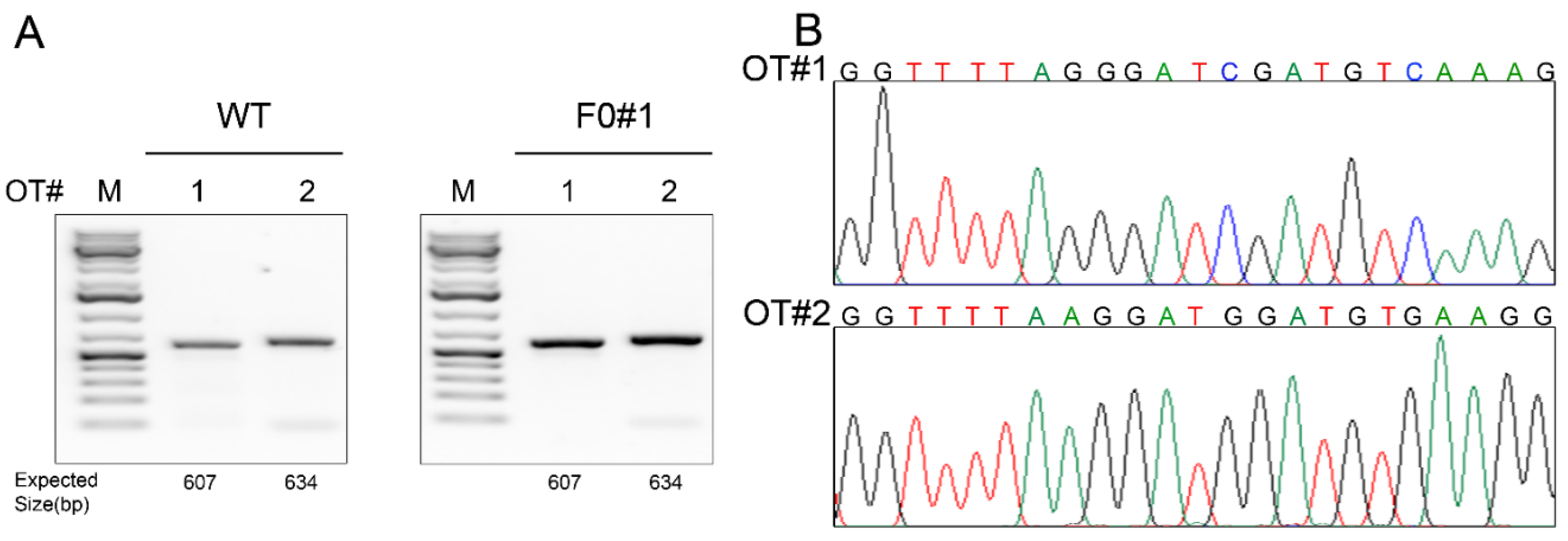 Viruses 10 00243 g002 Viruses 10 00243 g002